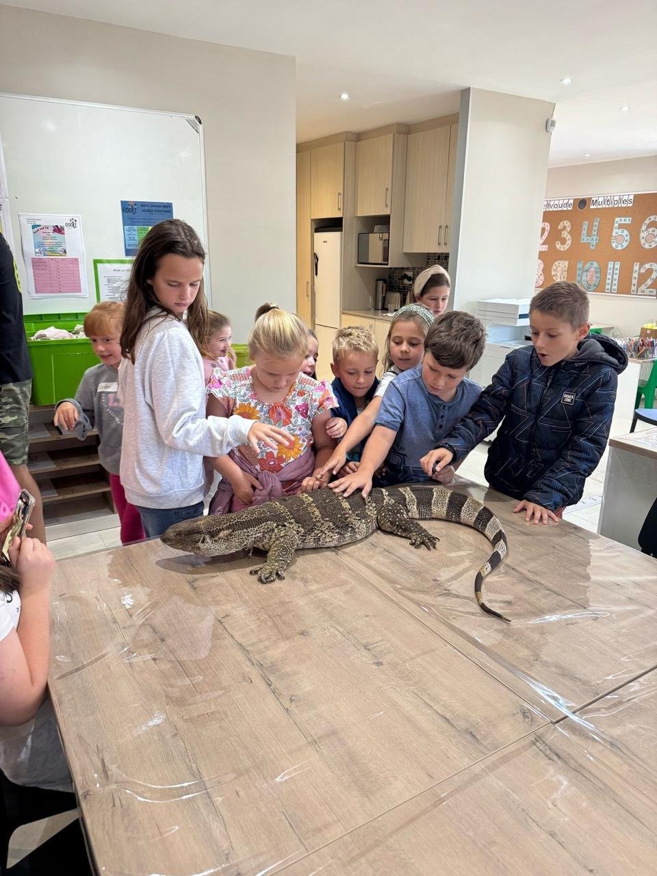 Holiday Programme - Reptile Day