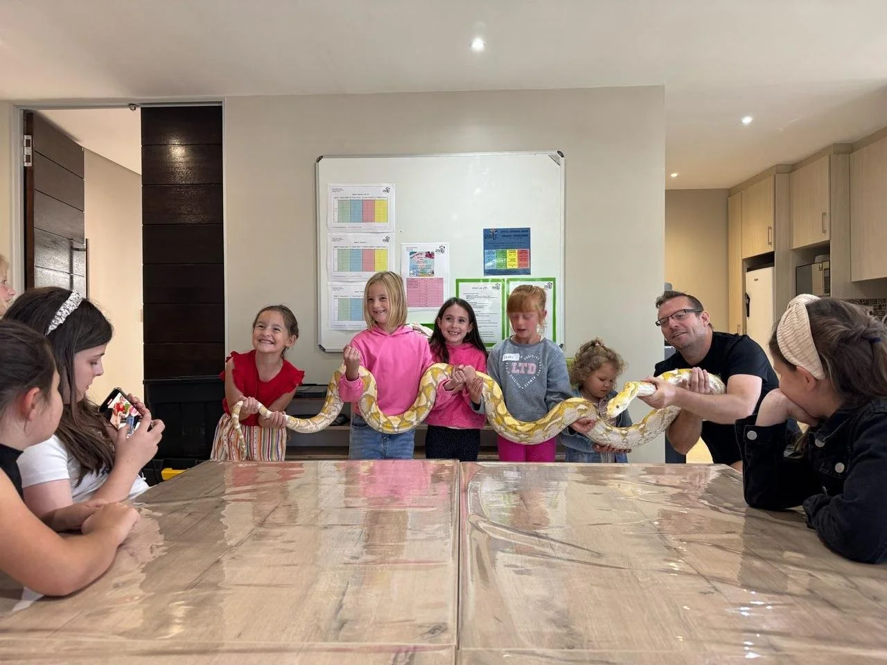 Holiday Programme - Reptile Day