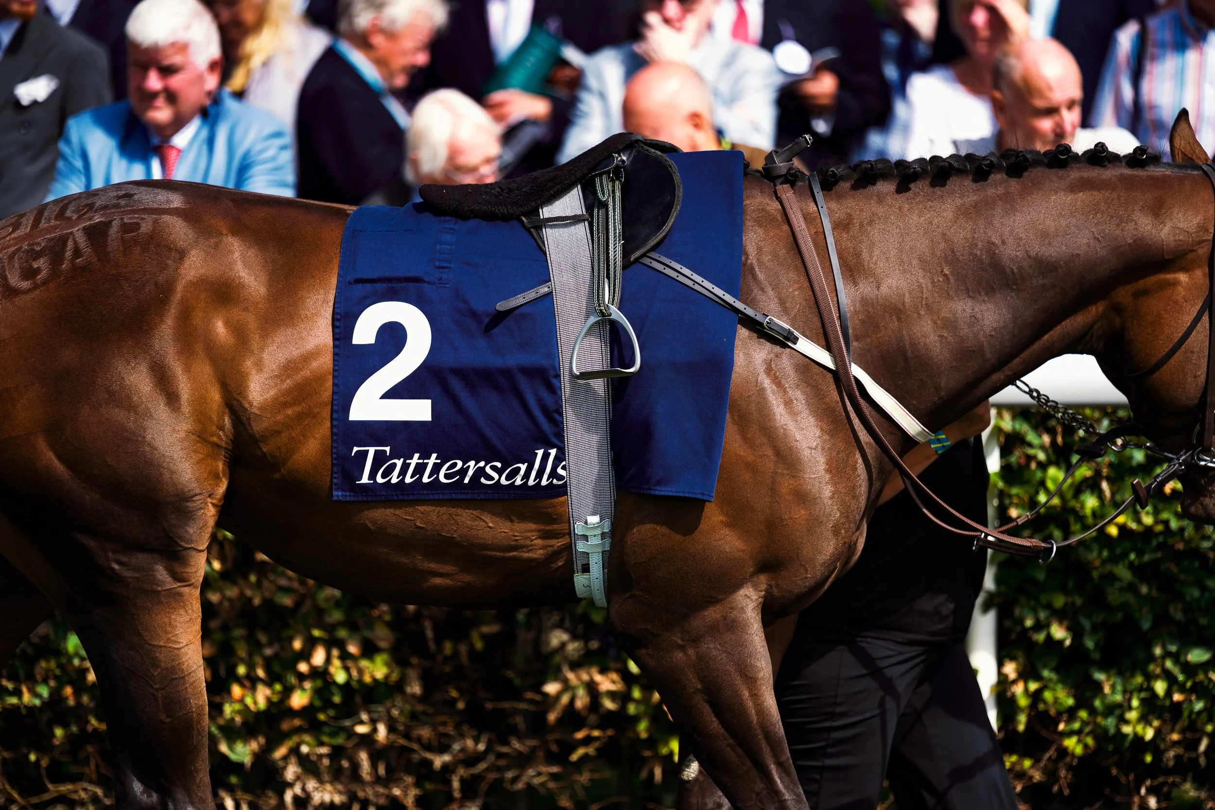 kreativebarn-bini-nandra-oxfordshire-bicester-photography-york-racing-ebor-festival-juddmonte-tattersalls-007.jpg