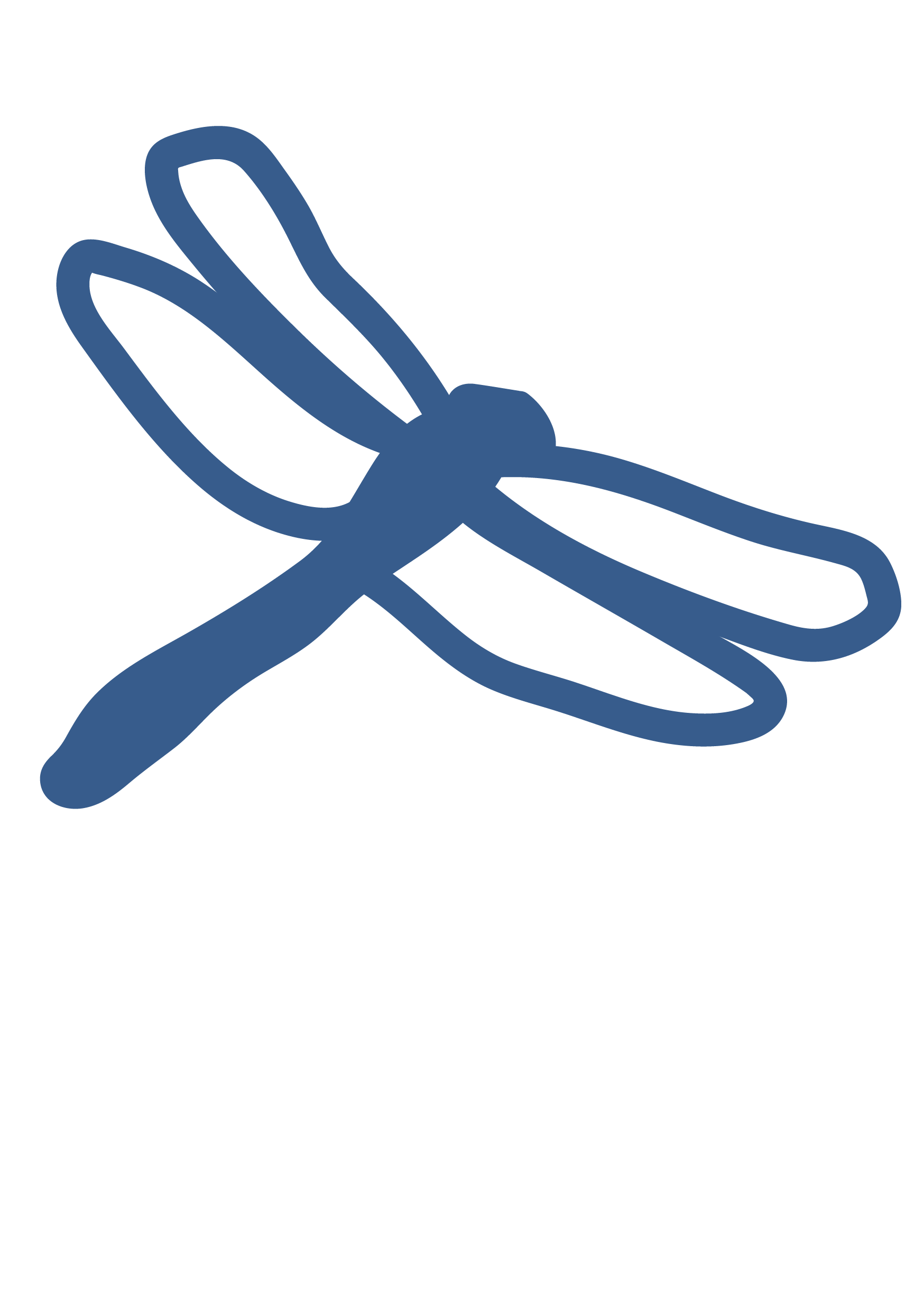 Dragonfly-09.png
