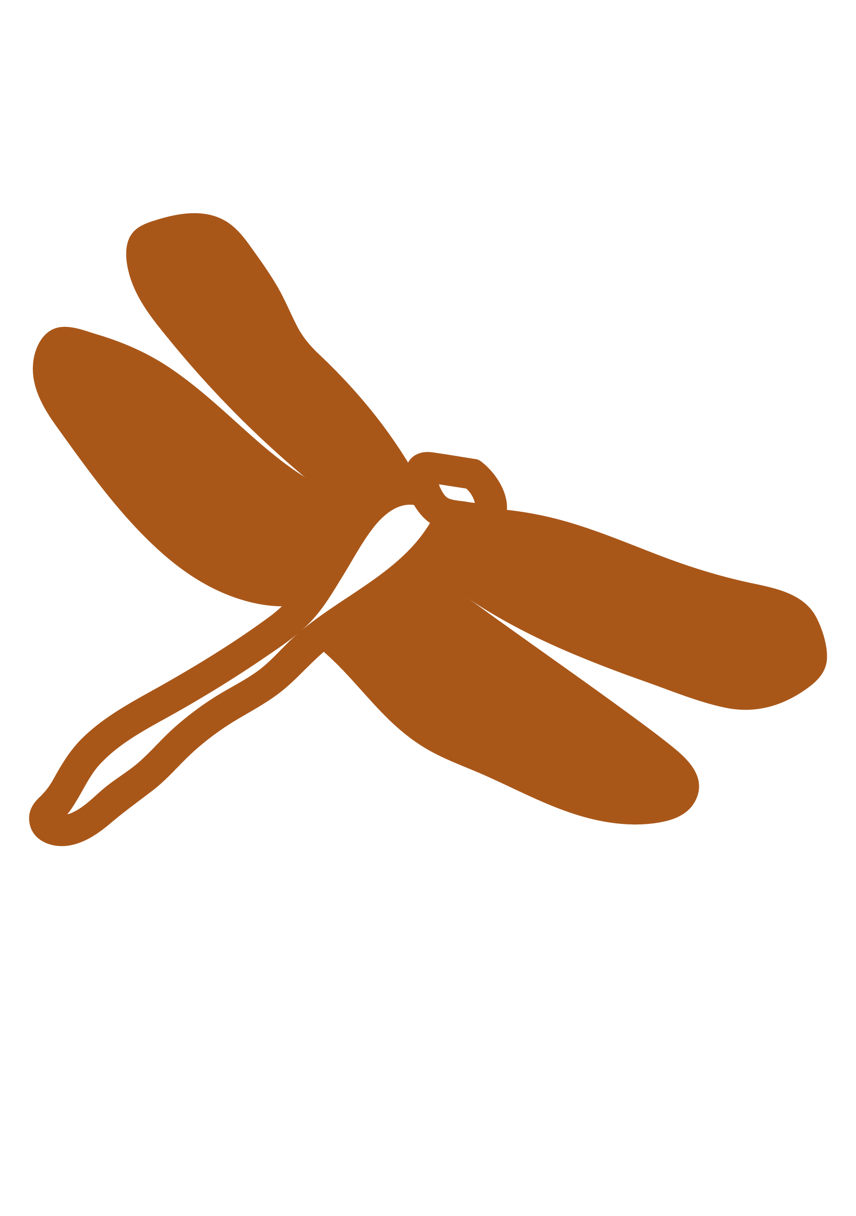 Dragonfly-03.png