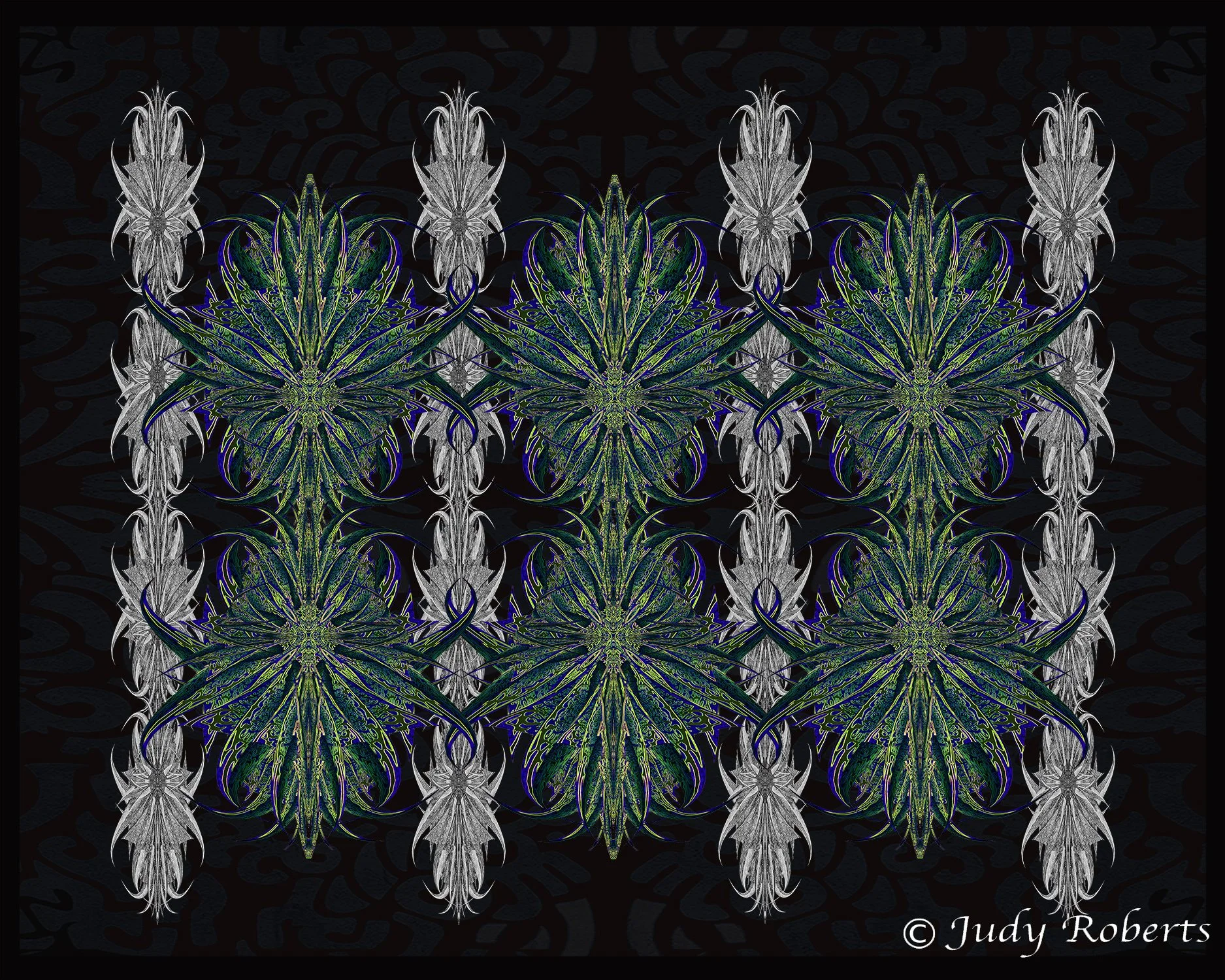 CR WEB Rosette Blue .jpg