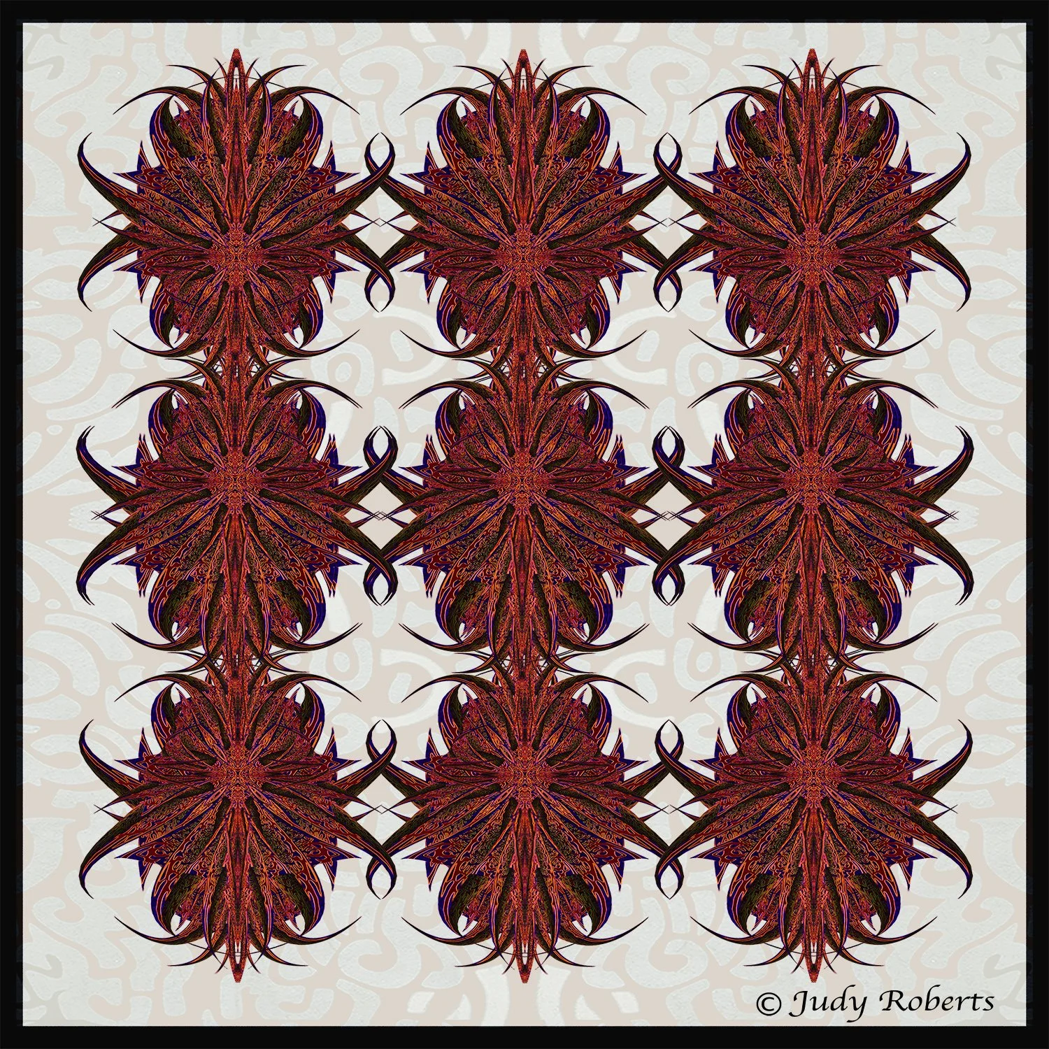 CR2 WEB STAR RED SHIELDS .jpg