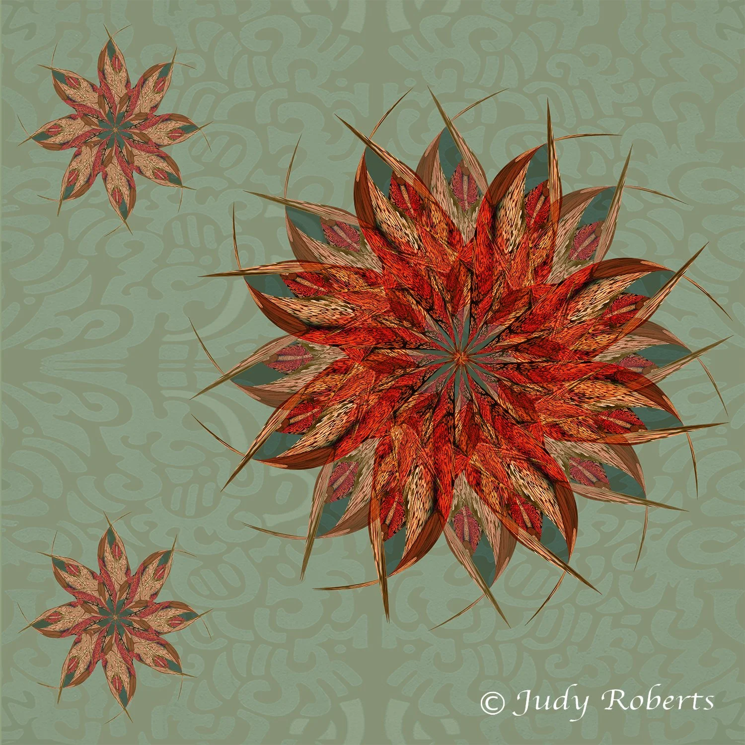 CR WEB FABRIC SWATCH STAR FLOWER 19.jpg