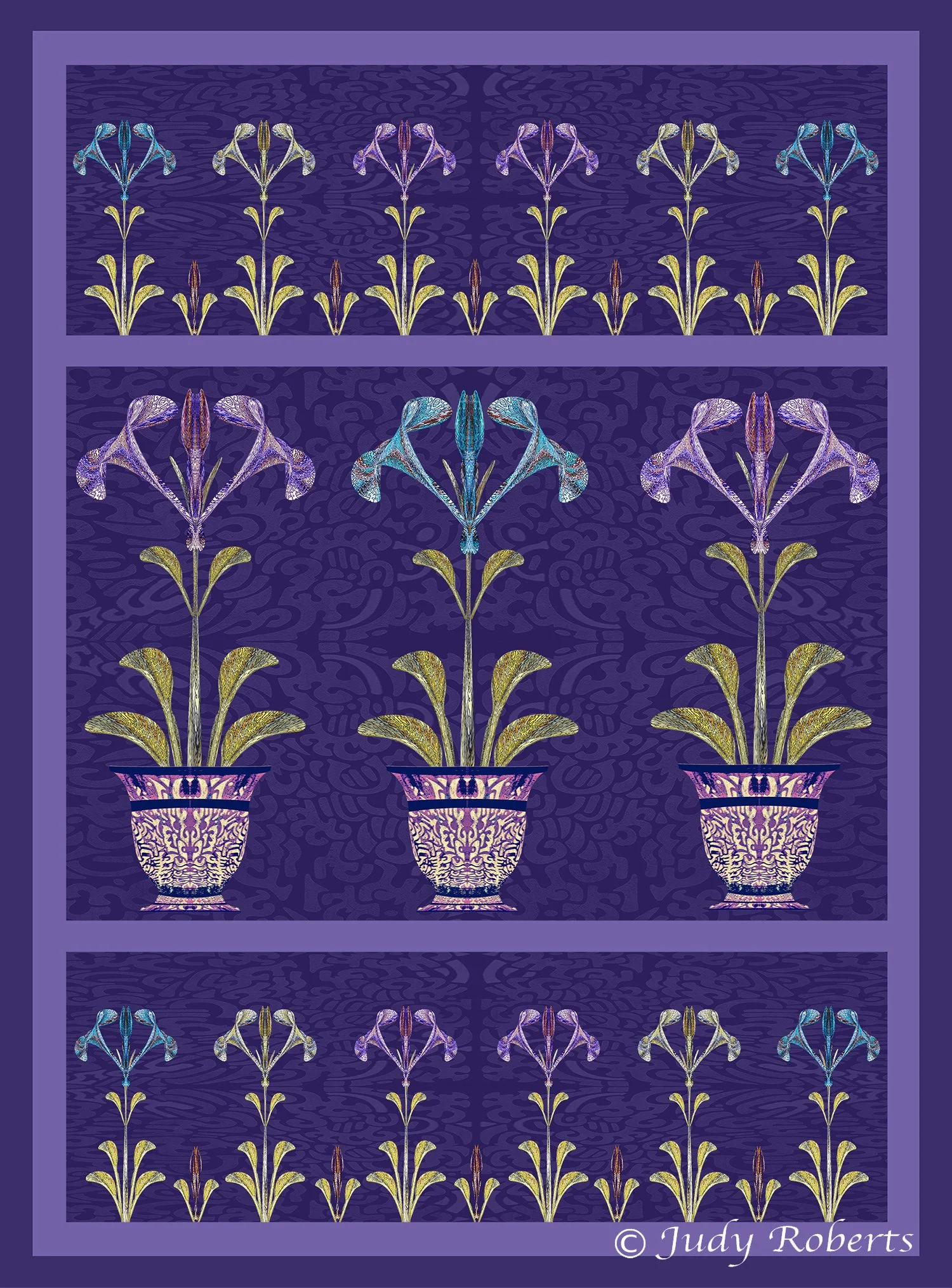 CR - SMALL - Iris in pots.jpg