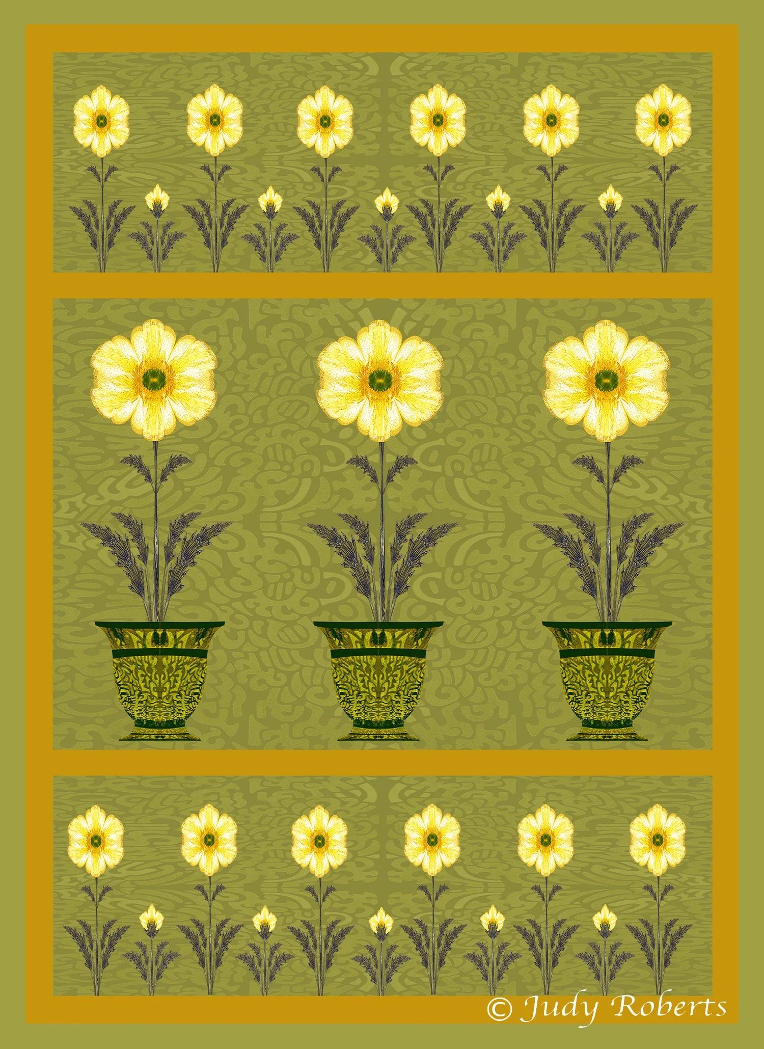 CR - SMALL - Buttercup in pots .jpg