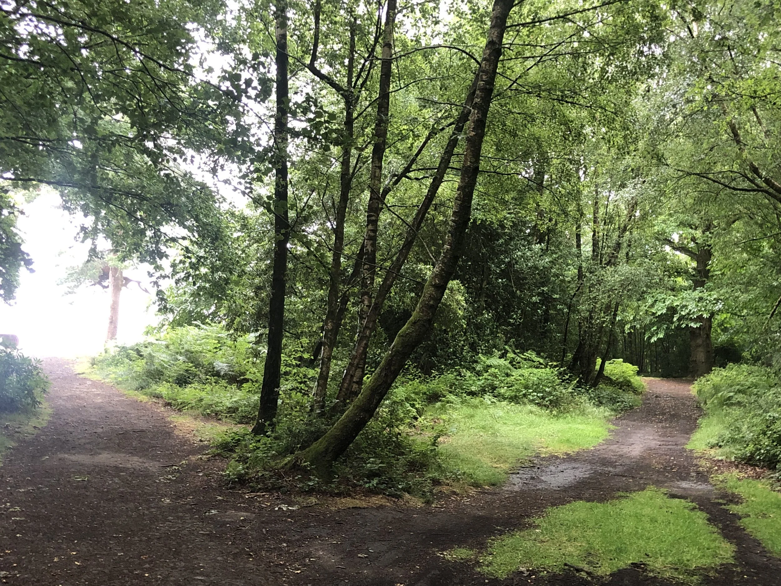 Crossroads and Thresholds Retreat - Danyah Miller