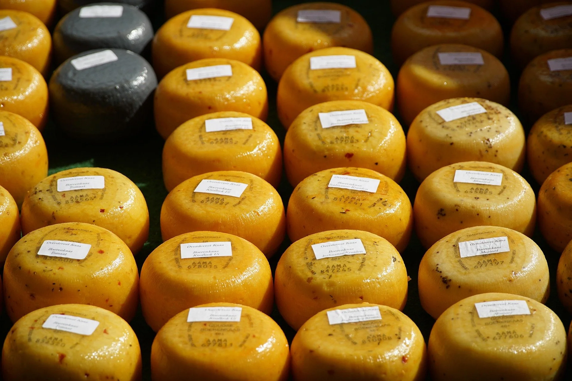 Cowdray Cheese Tasting at Fernleigh