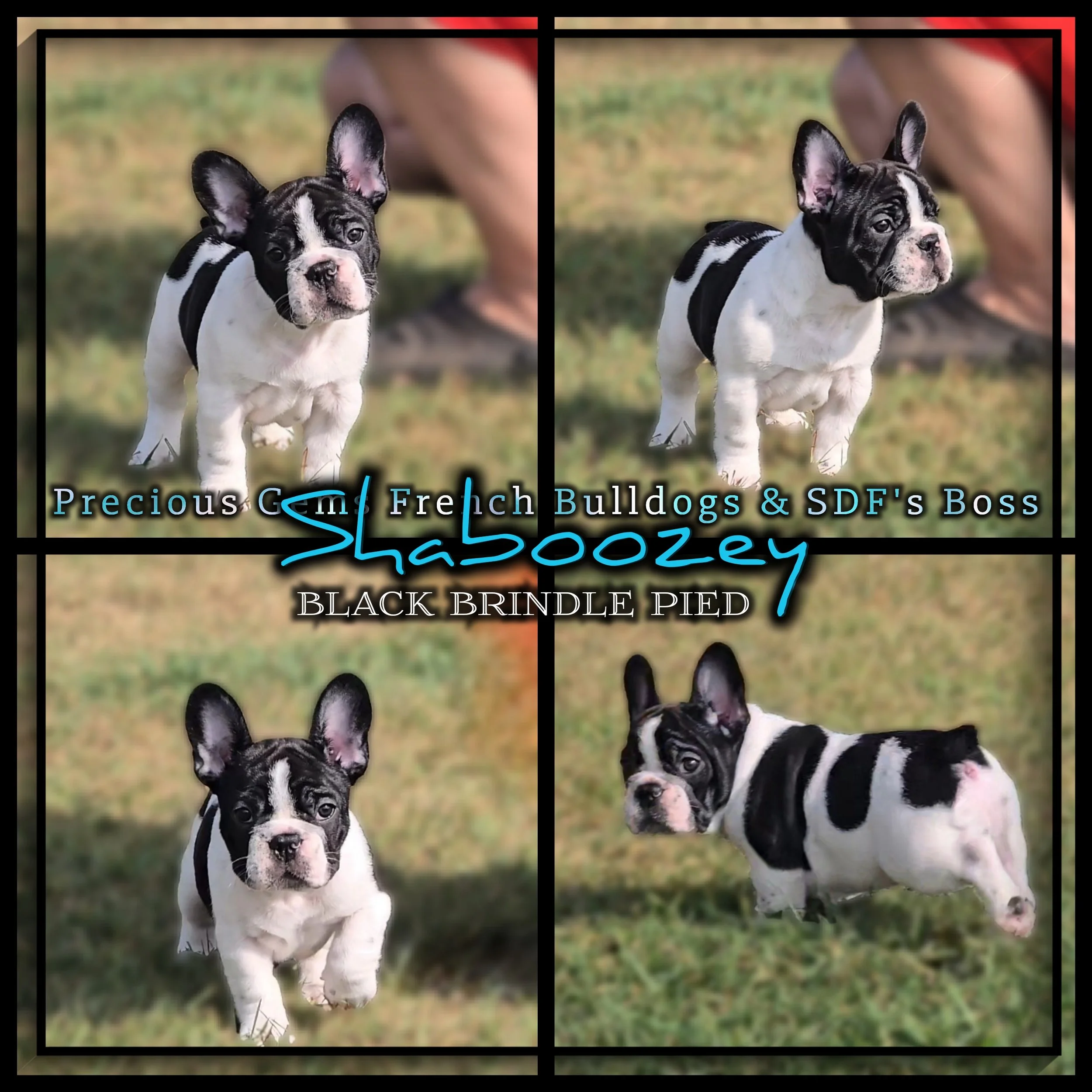 photostudio_1757897510369.jpg