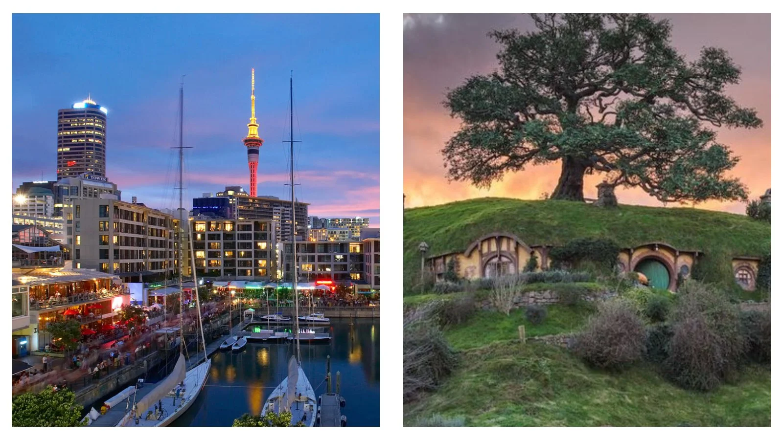 Auckland travel news: Seven of the best things to do in and around Auckland