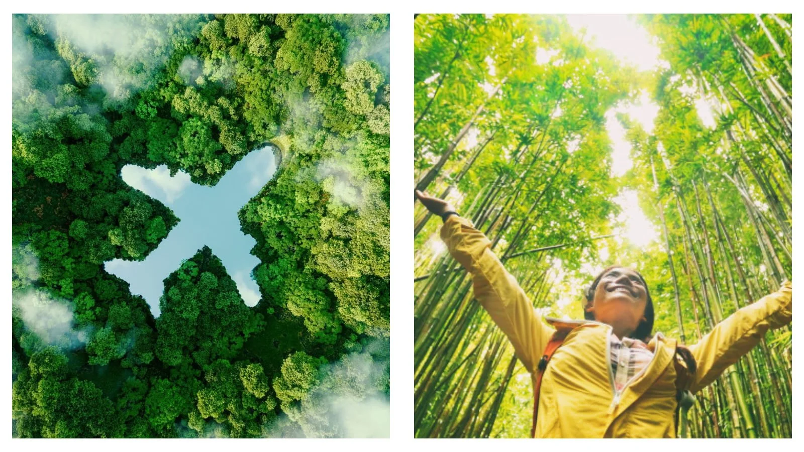 Travelling sustainably: A guide to going greener