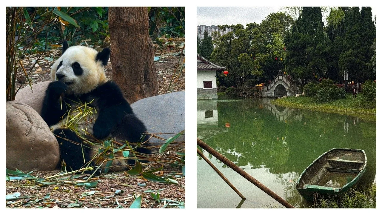 China travel guide: Three things to see in China’s panda city