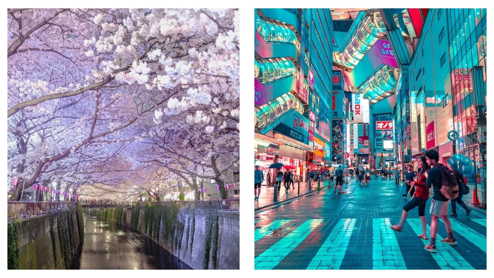 Travel news: A first-timer’s guide to Tokyo - Where to stay, what to pack and more