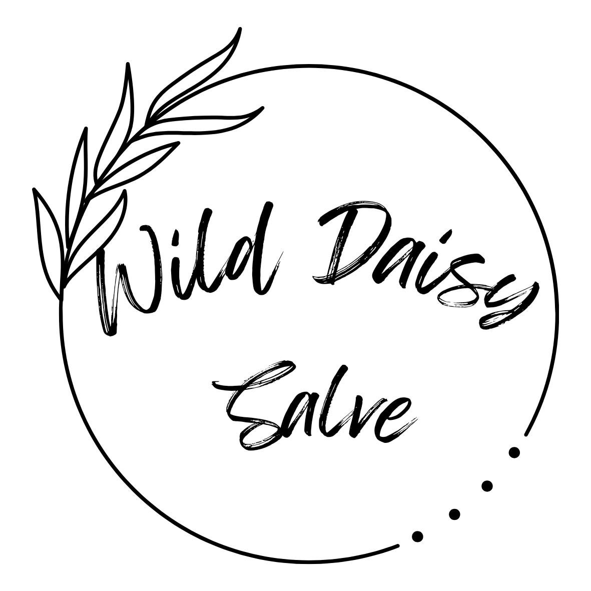 Wild Daisy Salve 1/2 ounce