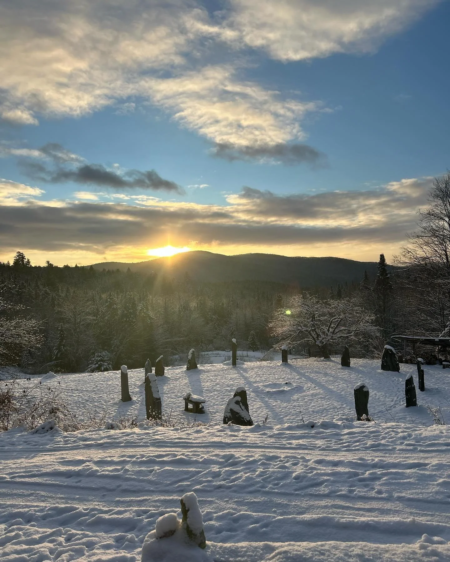 I just had a cottage cancellation for this weekend.  Anyone ready to dive into retreat at Dreamland?  Link to reserve in my bio!