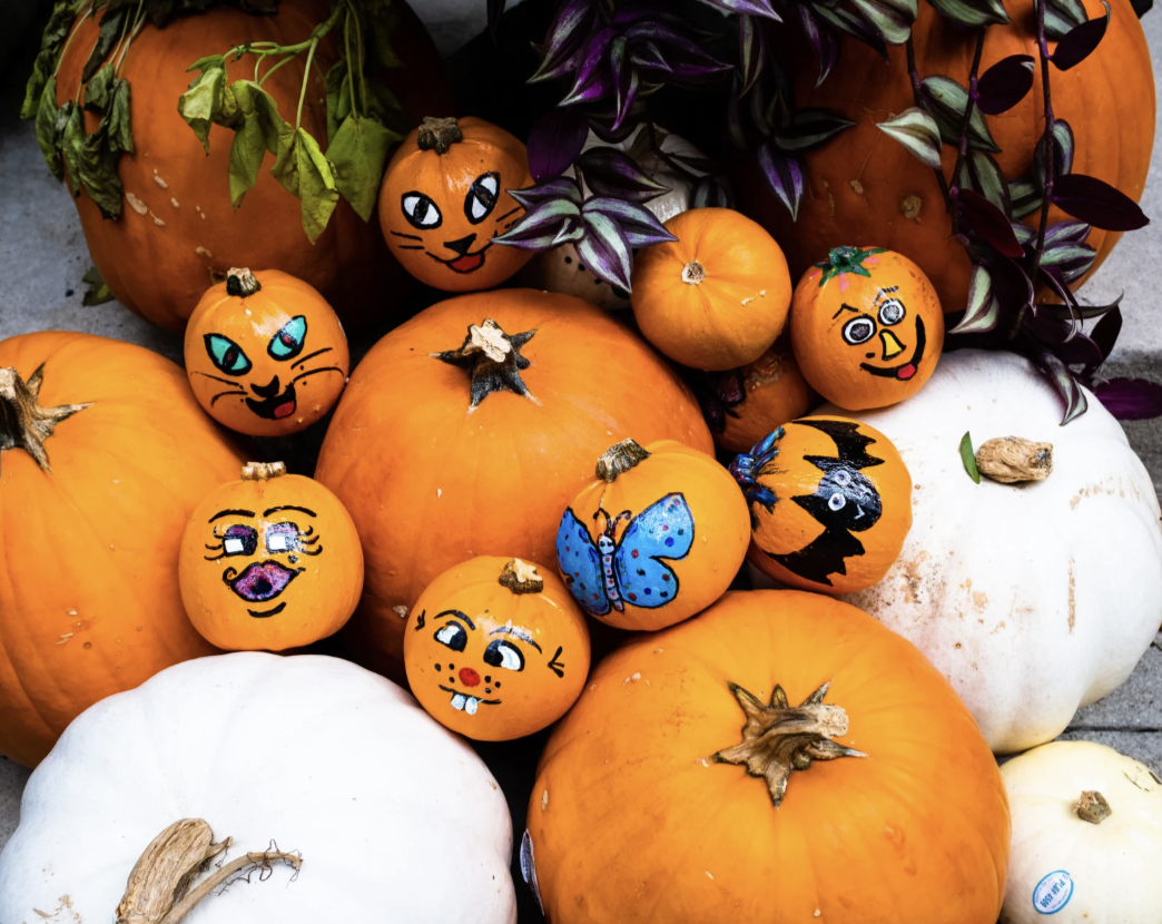 PUMPKIN PAINTING & COMPOSTING WORKSHOP