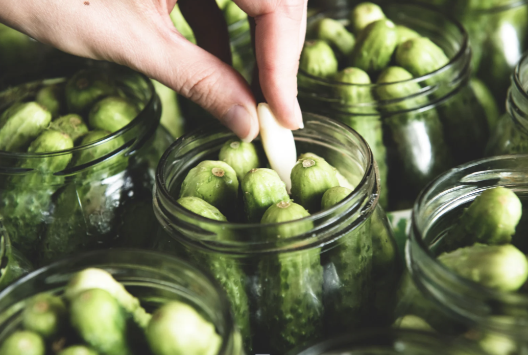 ECO-CONSCIOUS EATING & PICKLING CLASS