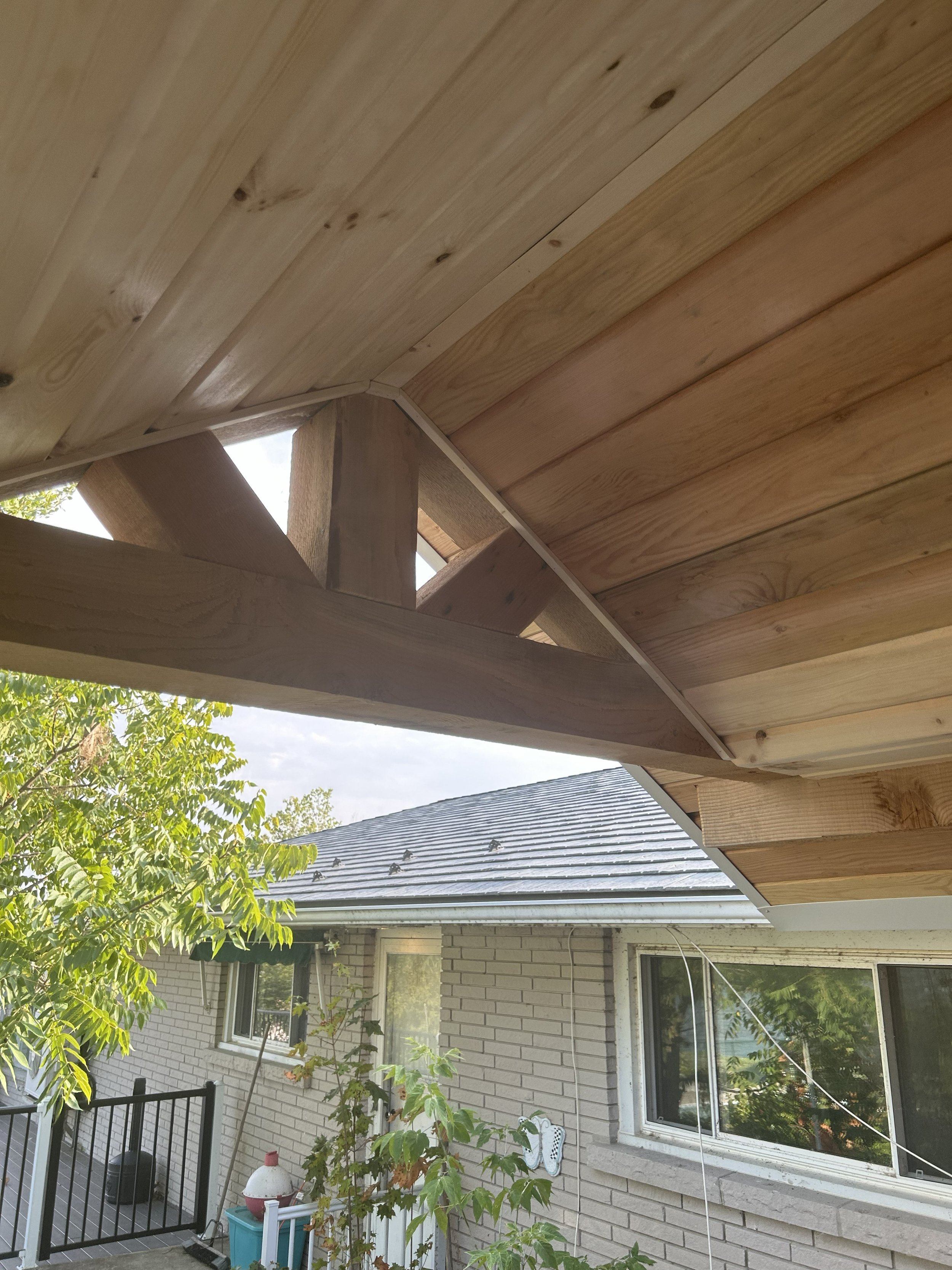 Tiny timber 2.jpg
