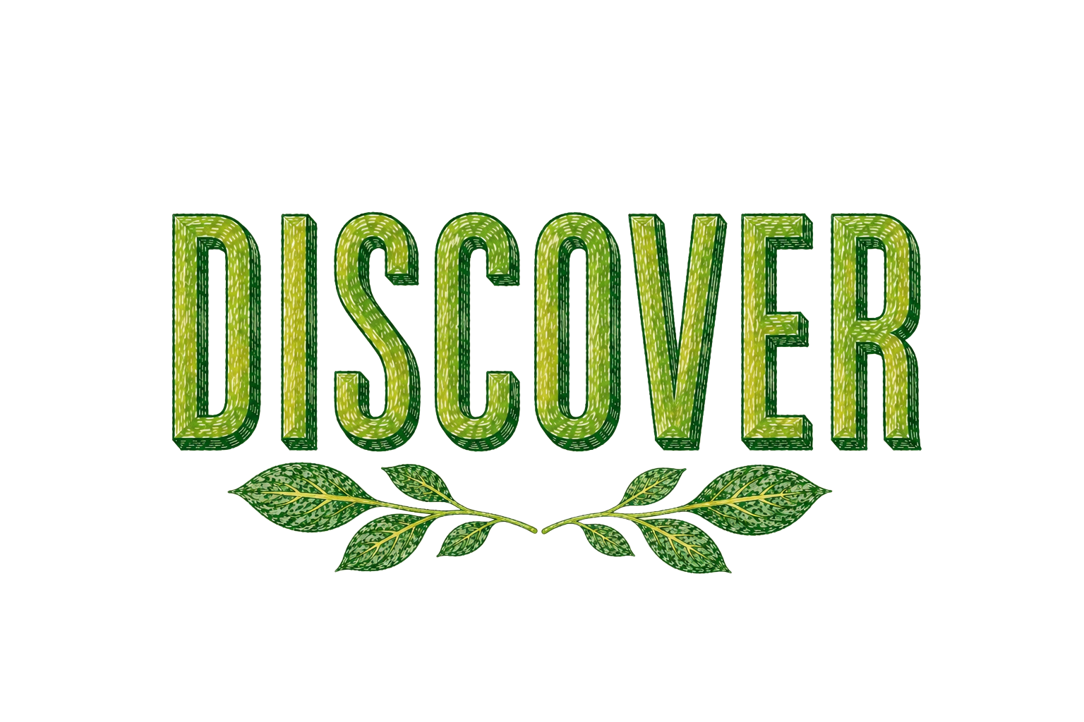 The word 'DISCARVER' in large, green, textured letters with a leafy design underneath.