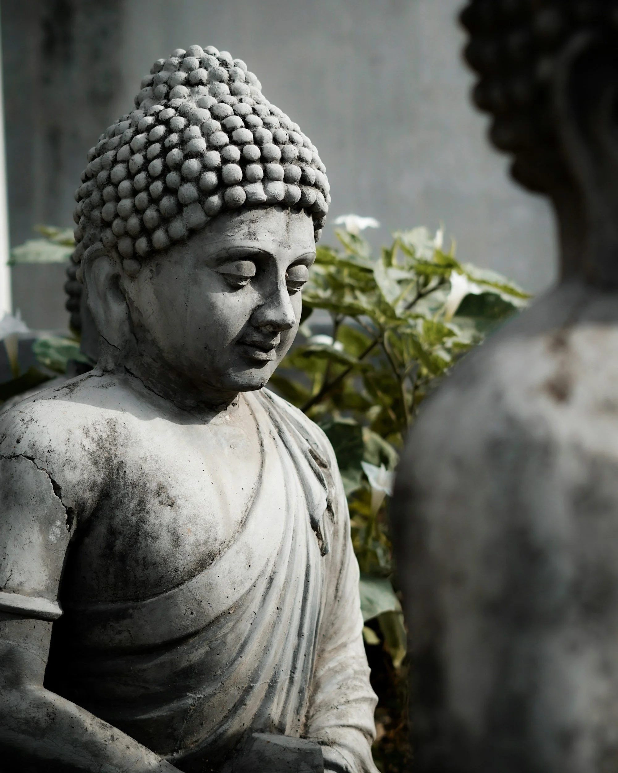 The Role of the Primary Auditory Cortex in Bikram Yoga