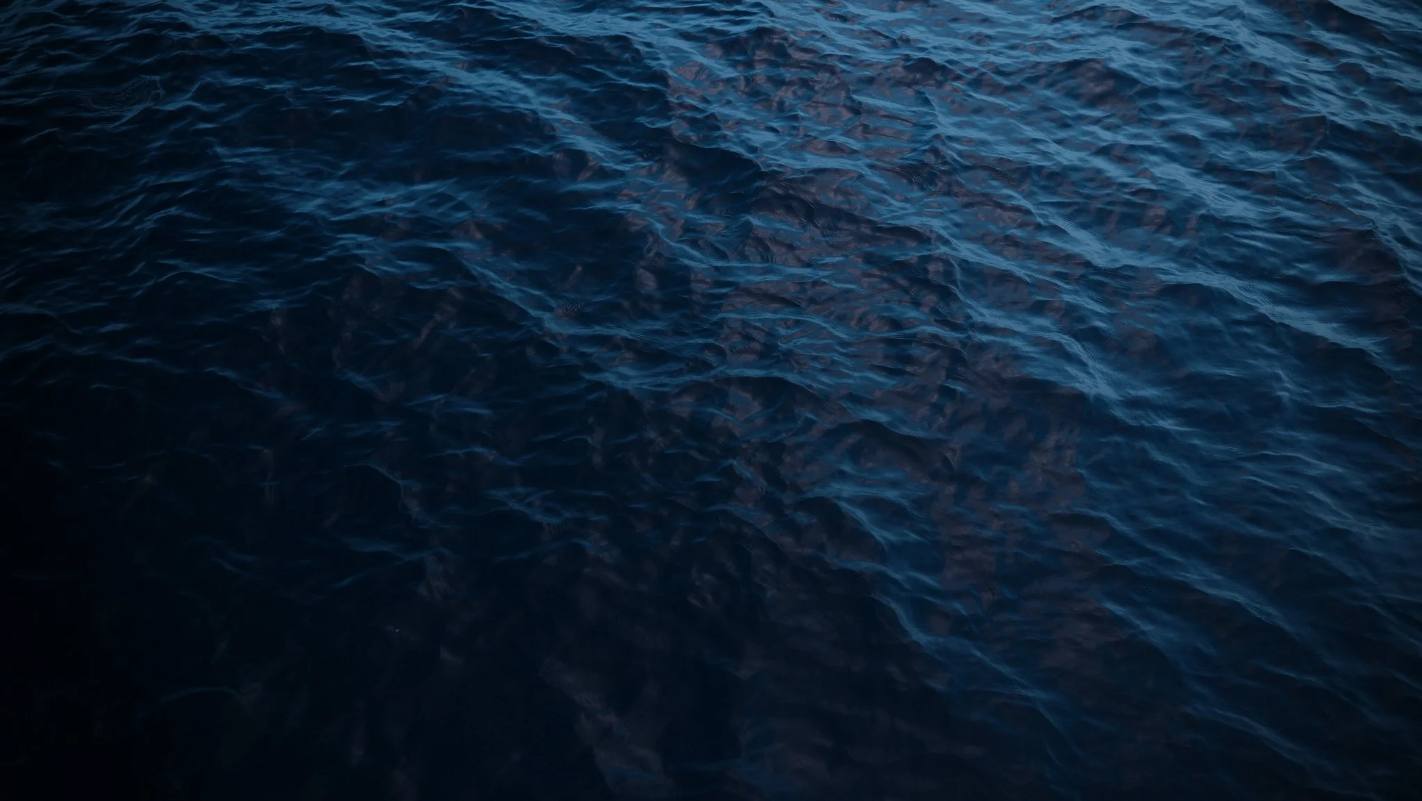 DSCF2941-2.jpg