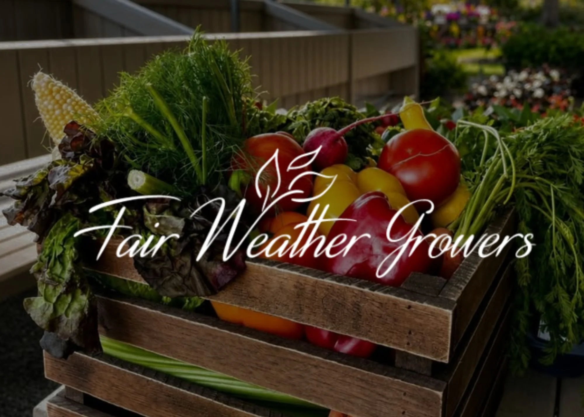 Fair Weather Growers Fall Festival & Corn Maze