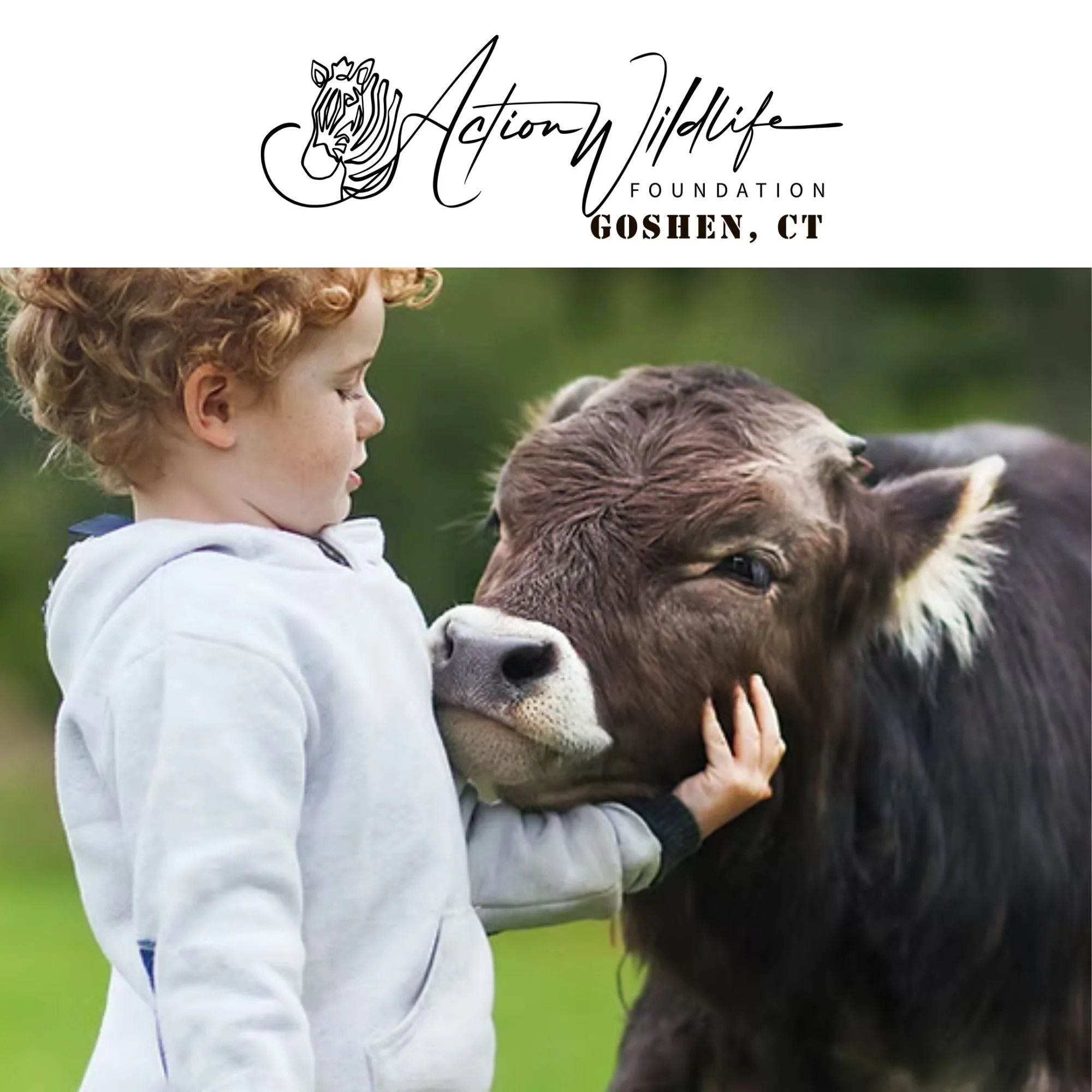 Action Wildlife Foundation