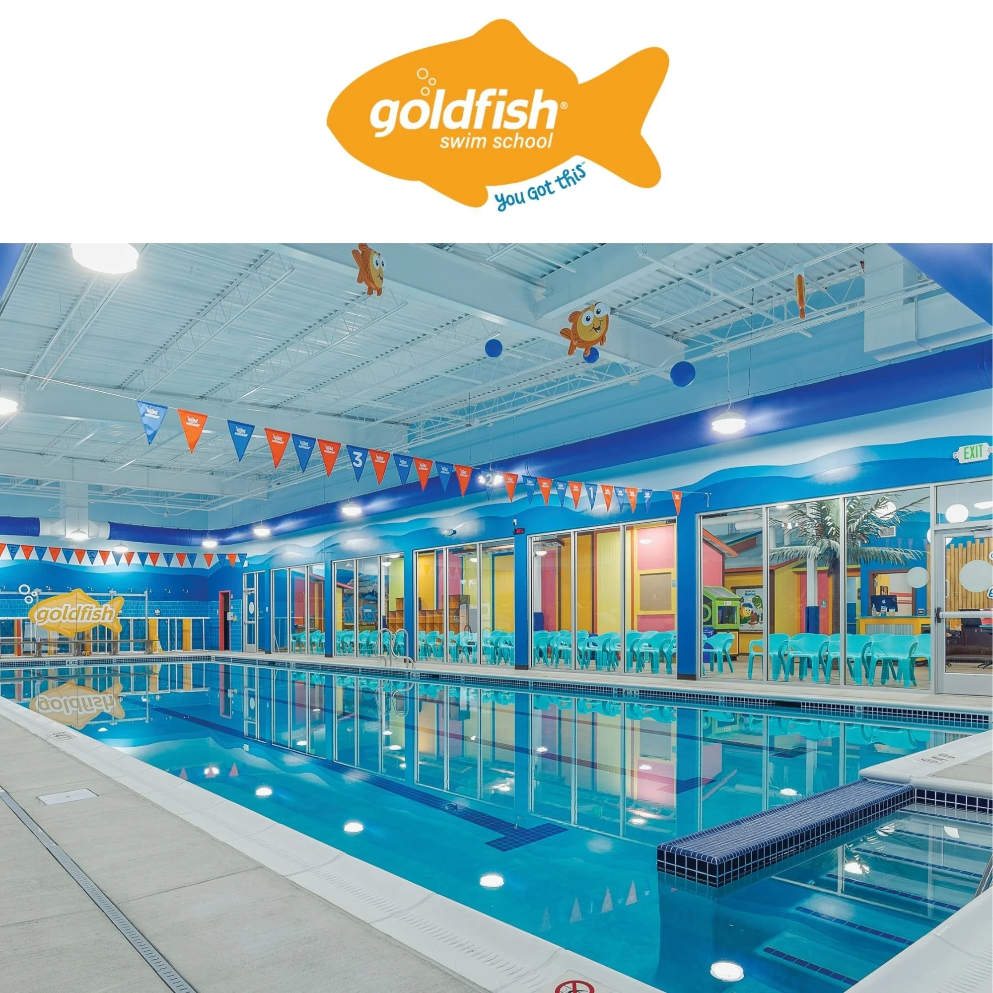 Gold Fish Swim Discount