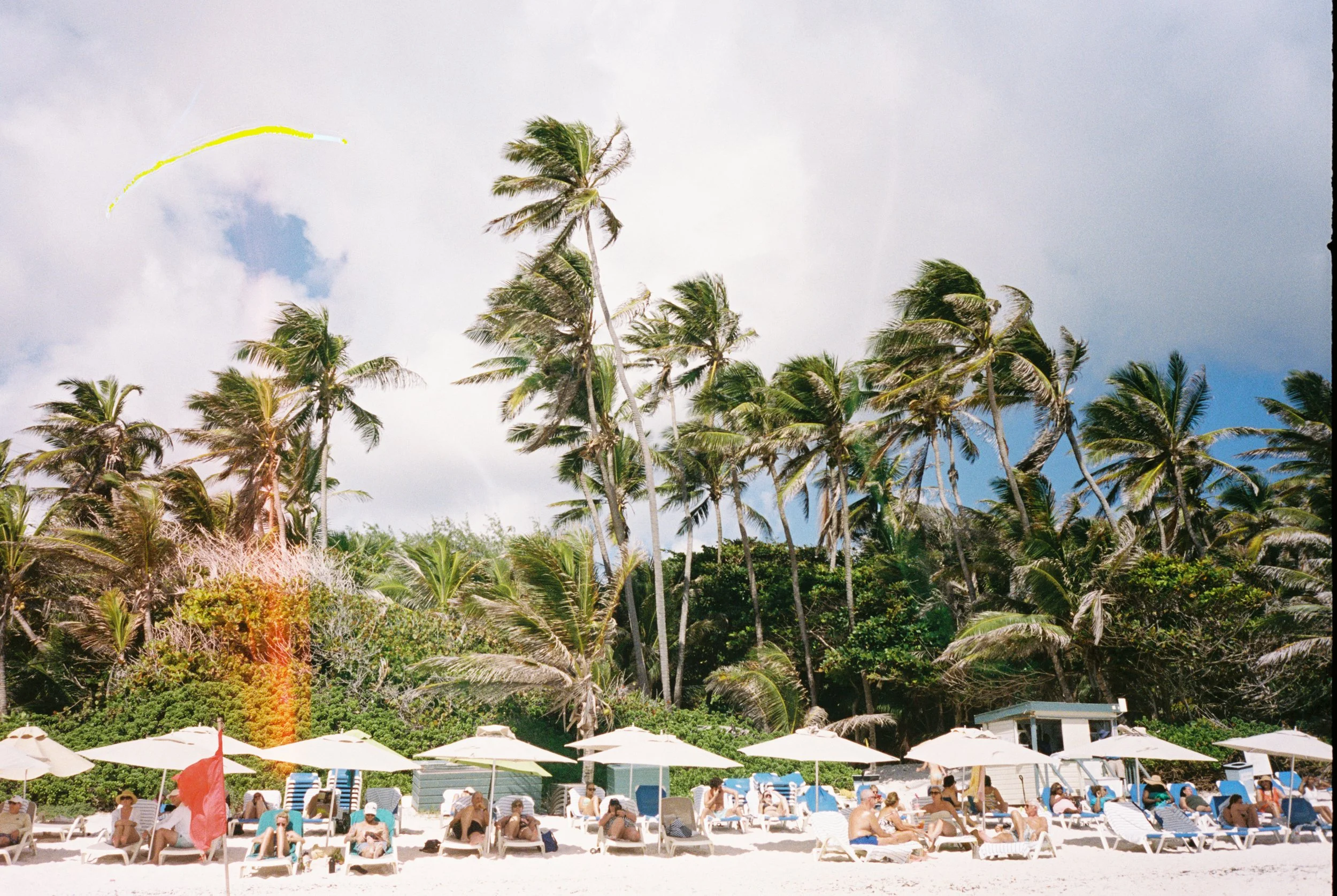 012026_O'Leary Barkal Wedding_Highlights-86.jpg