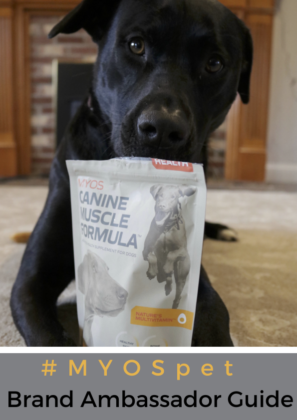 Canine_Ambassador1.png