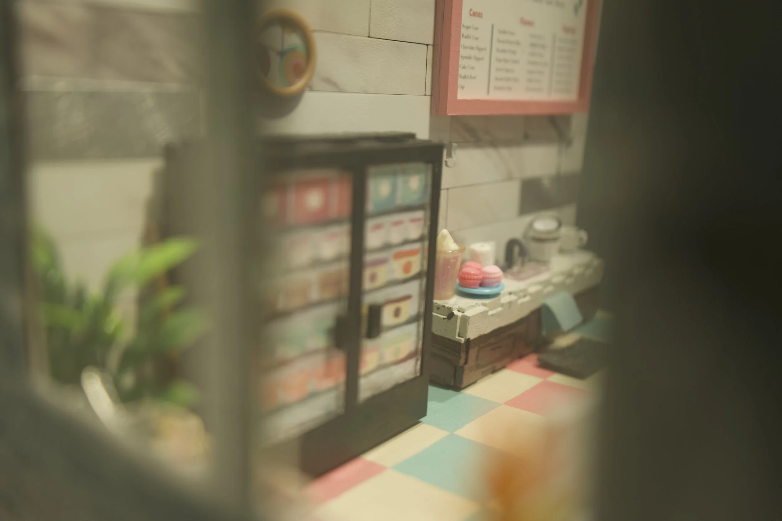 DSC01529.jpeg