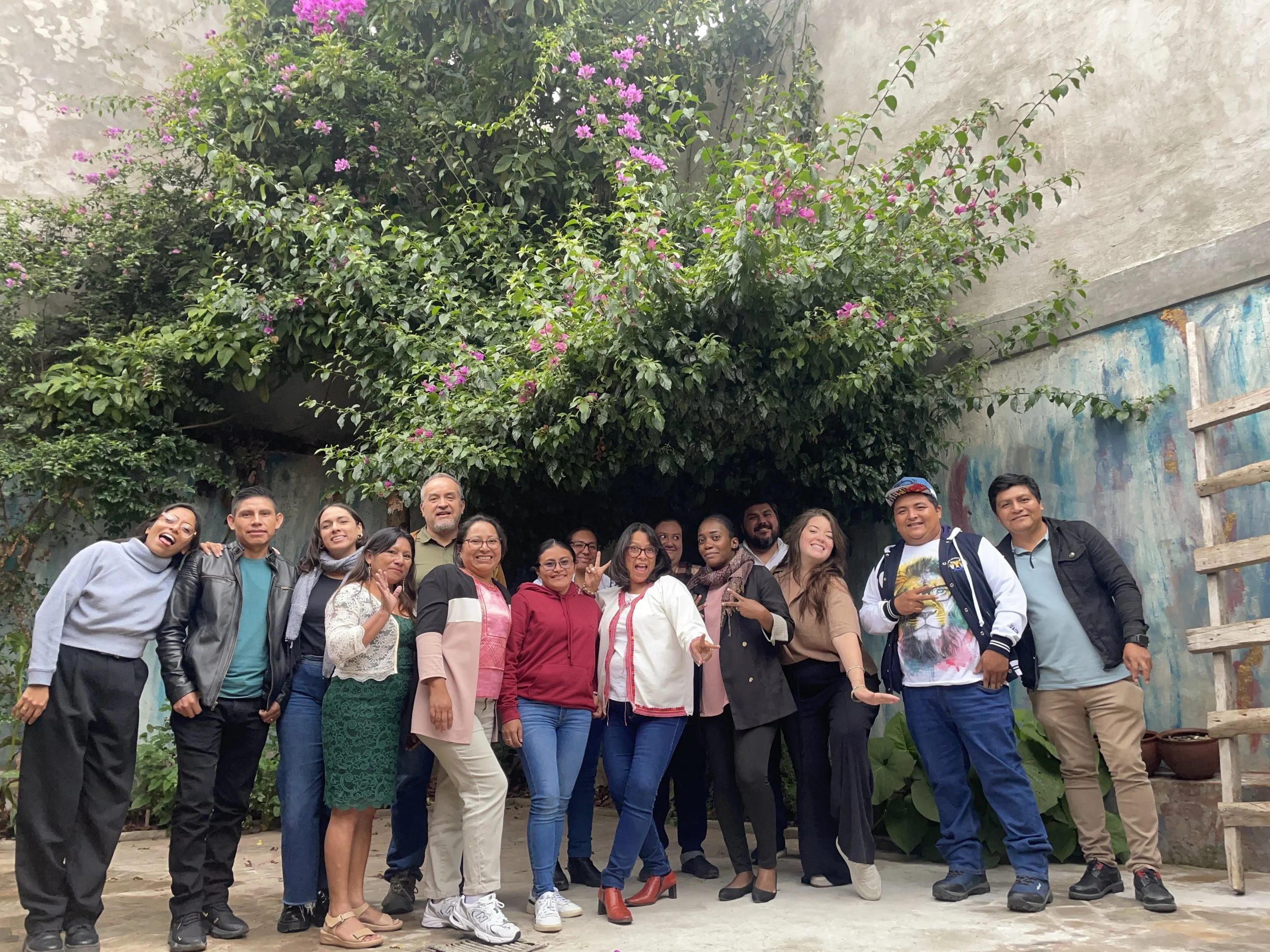 Mexico › Transition Project
