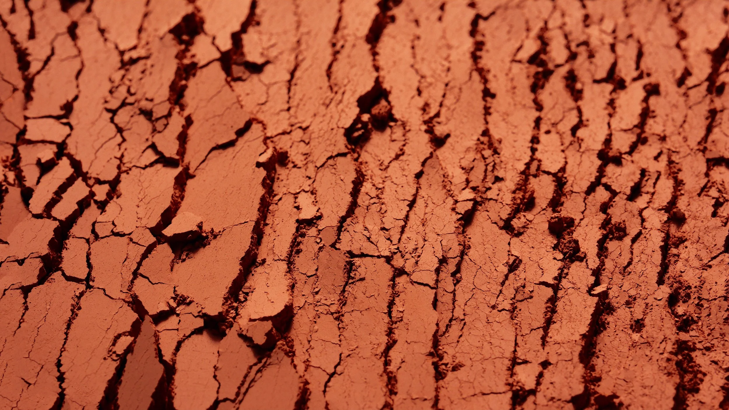 Summer Make-Up Landscape Stills 07.jpg