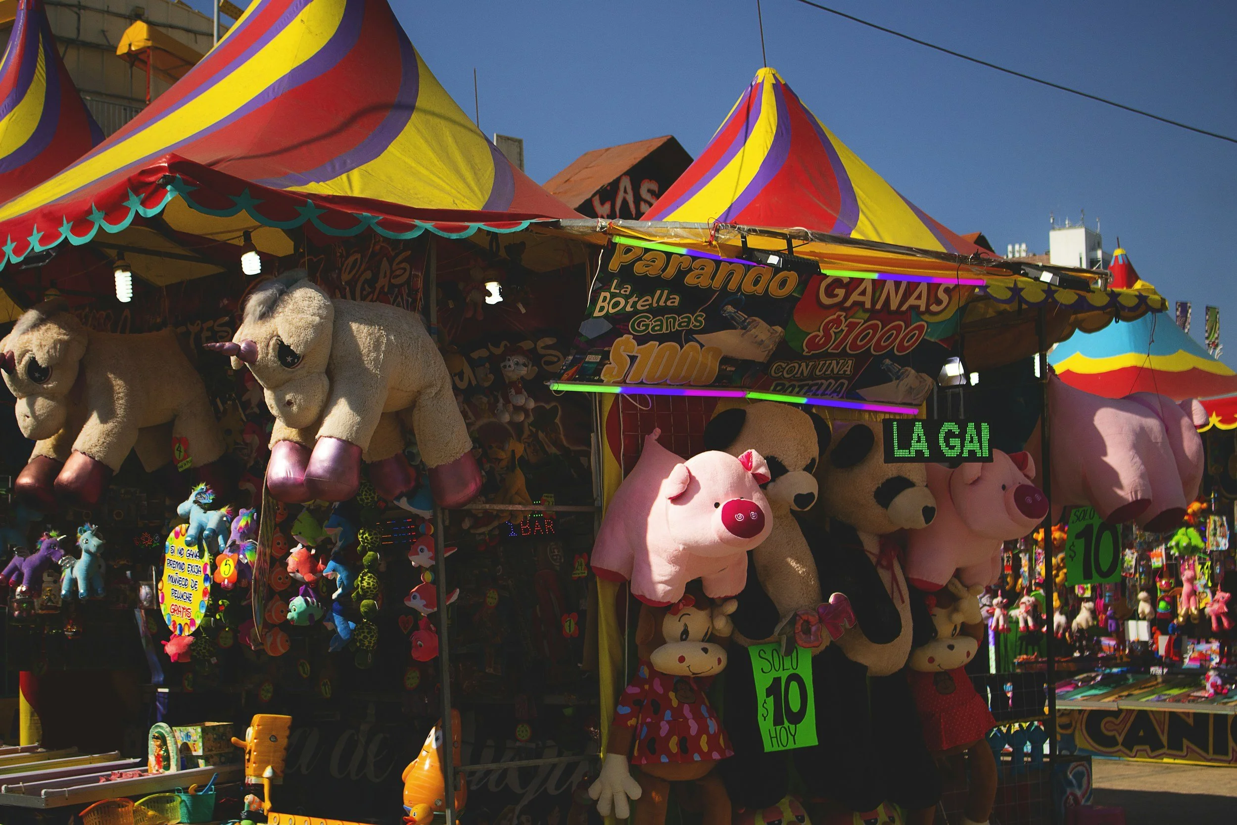 Umatilla County Fair Booth
