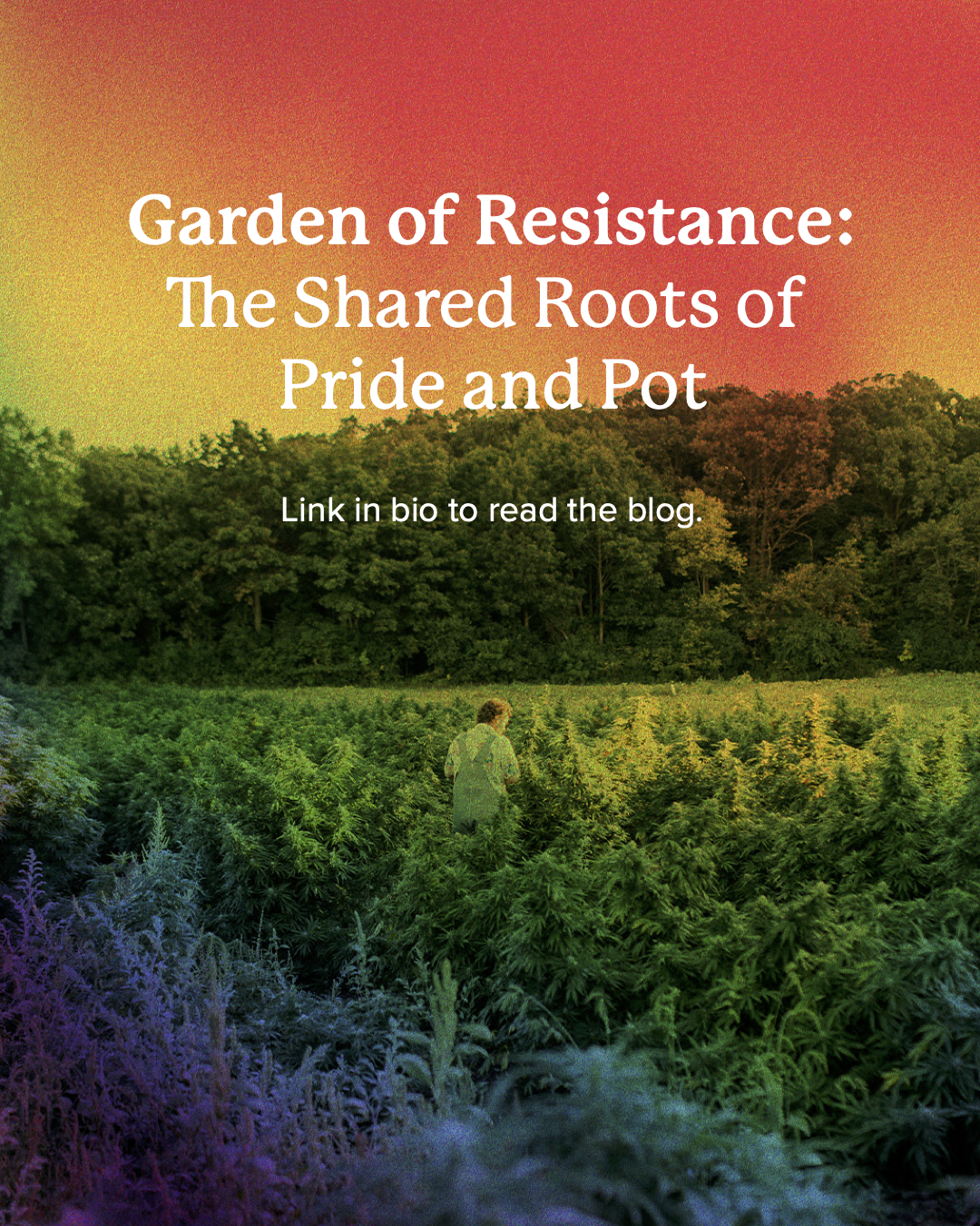 Verist Pride Post.png