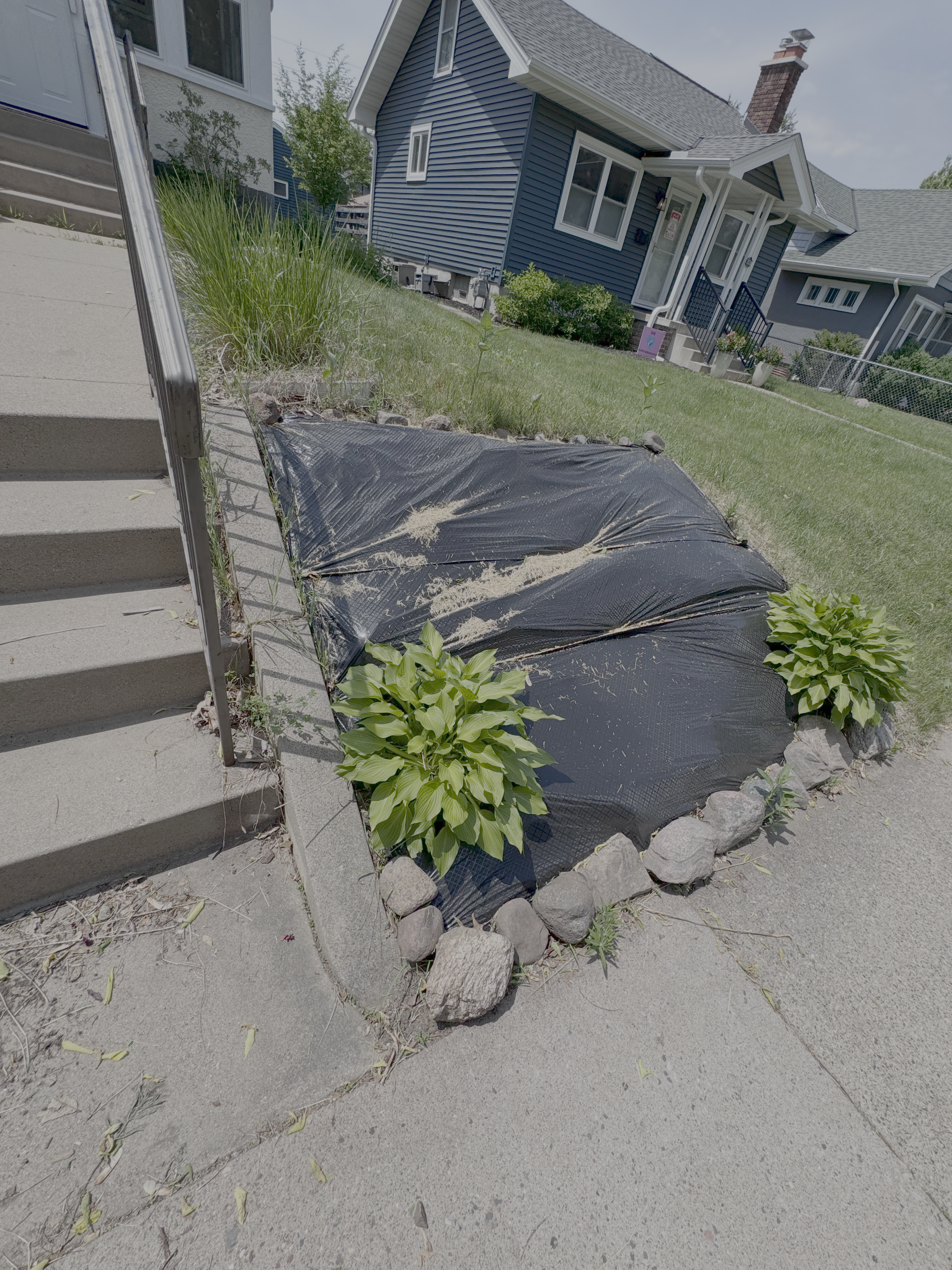 This yard had been landscaped at one point but had not been cared for in quite awhile. The sellers wanted a quick and easy transformation so that the outside matched the well-cared for inside. By relocating many plants throughout the yard, we were ab