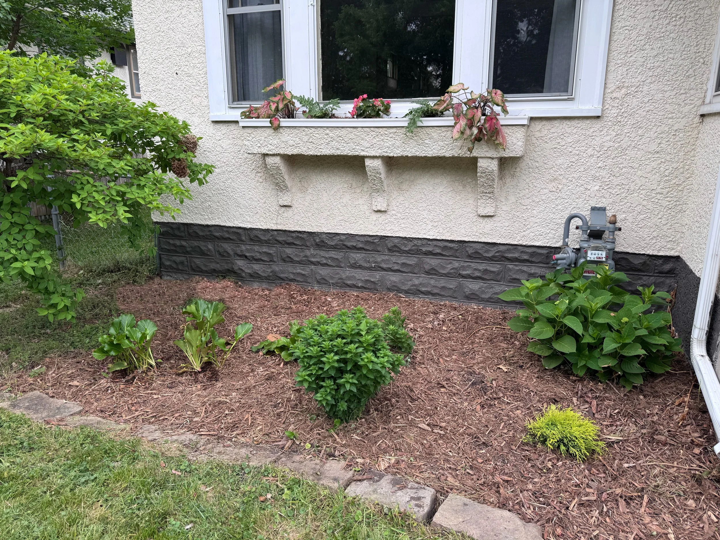 This yard had been landscaped at one point but had not been cared for in quite awhile. The sellers wanted a quick and easy transformation so that the outside matched the well-cared for inside. By relocating many plants throughout the yard, we were ab