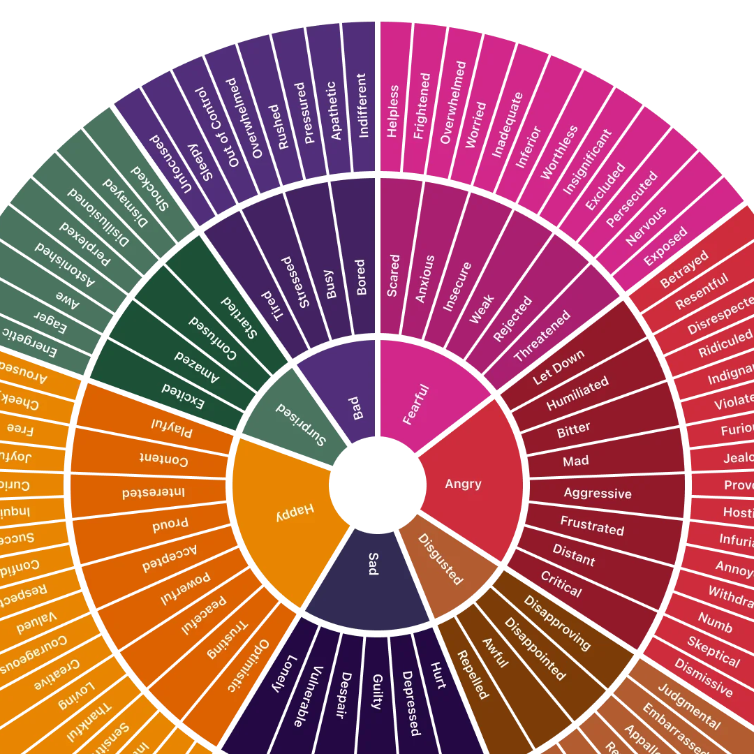 Give the Feelings Wheel a Try for Revealing Sentiments