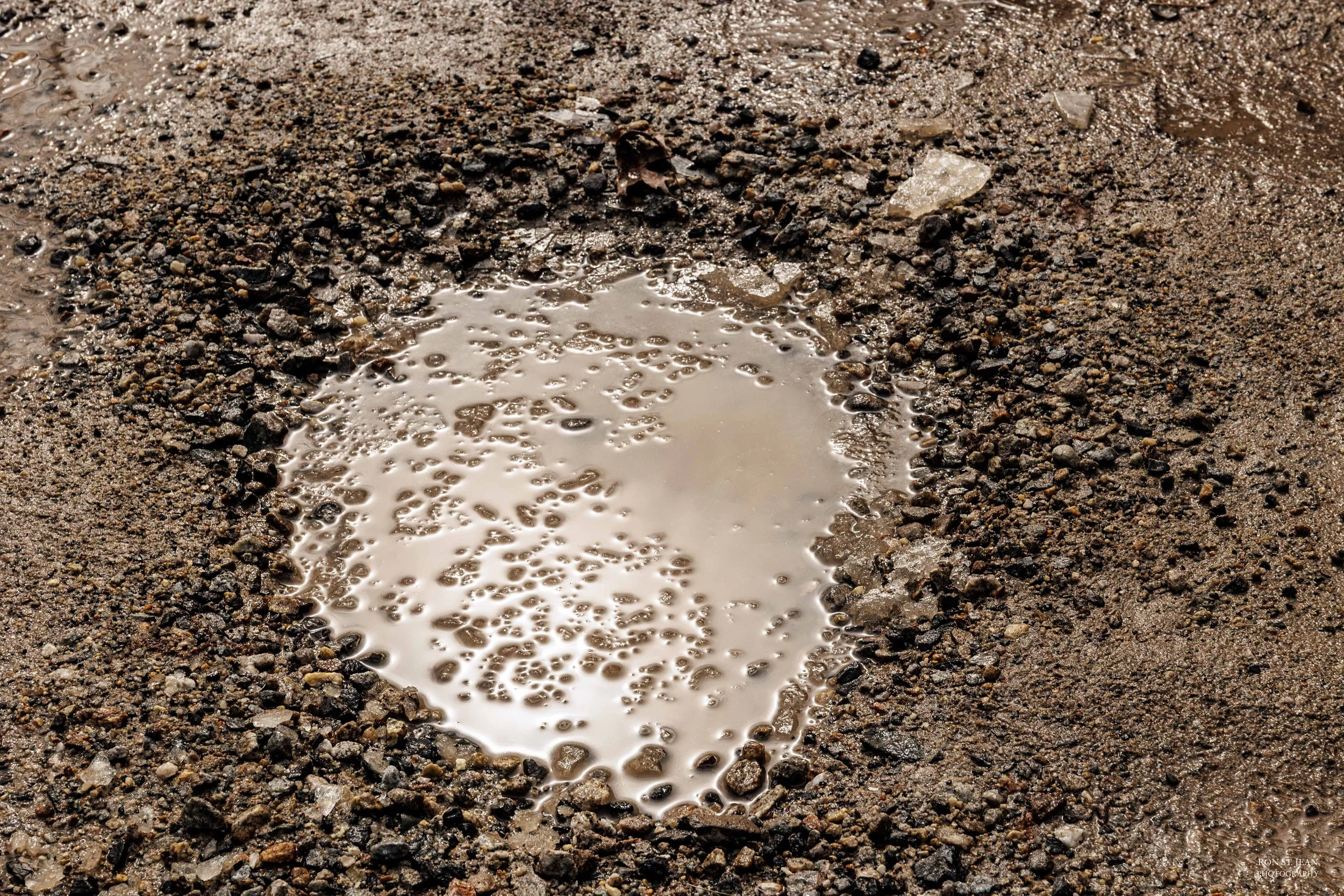 mud puddle in the spring