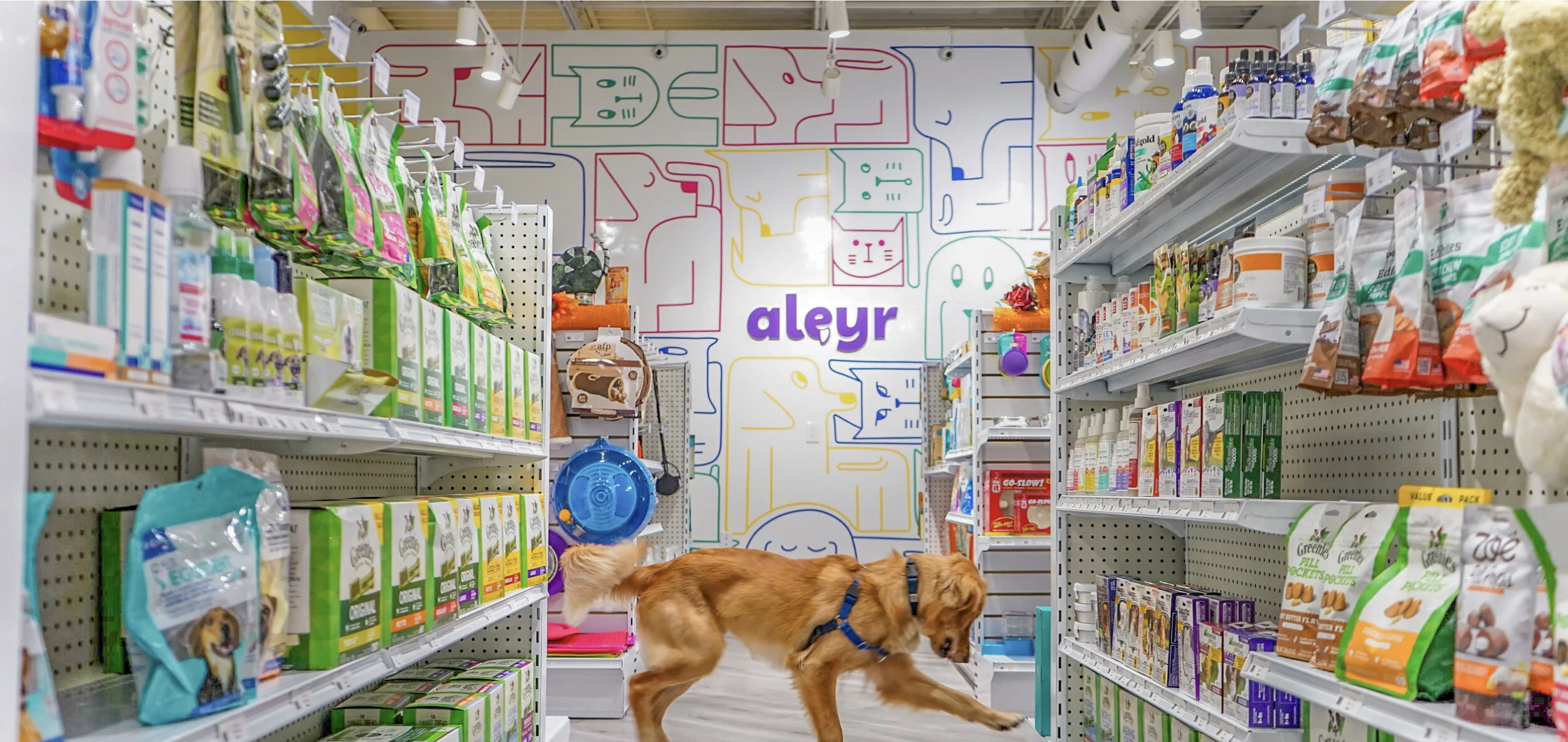 Aleyr