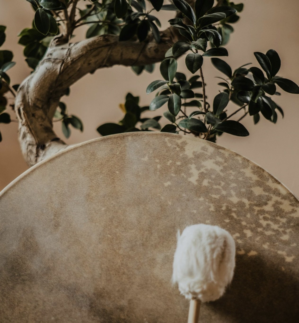 Cacao Ceremony and Shamanic Drum Journey