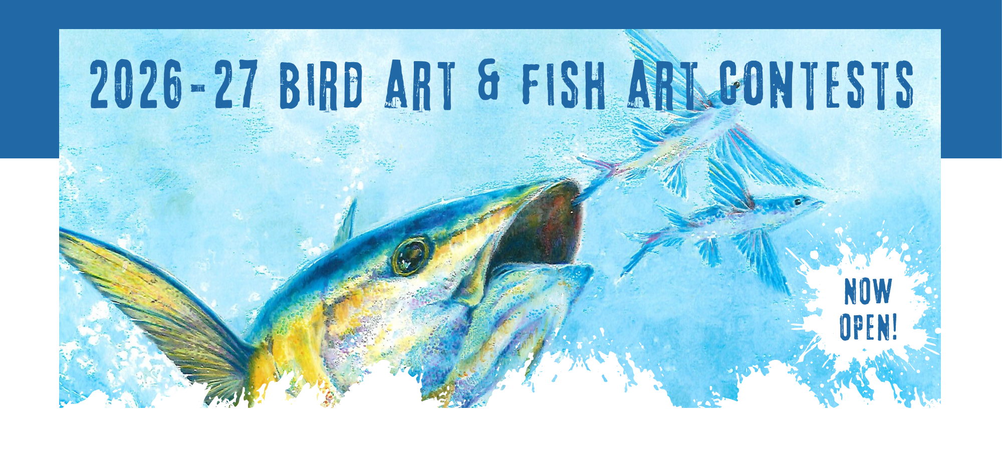 Calling K-12 Artists: The Art of Conservation® Bird and Fish Art Contests Now Open!