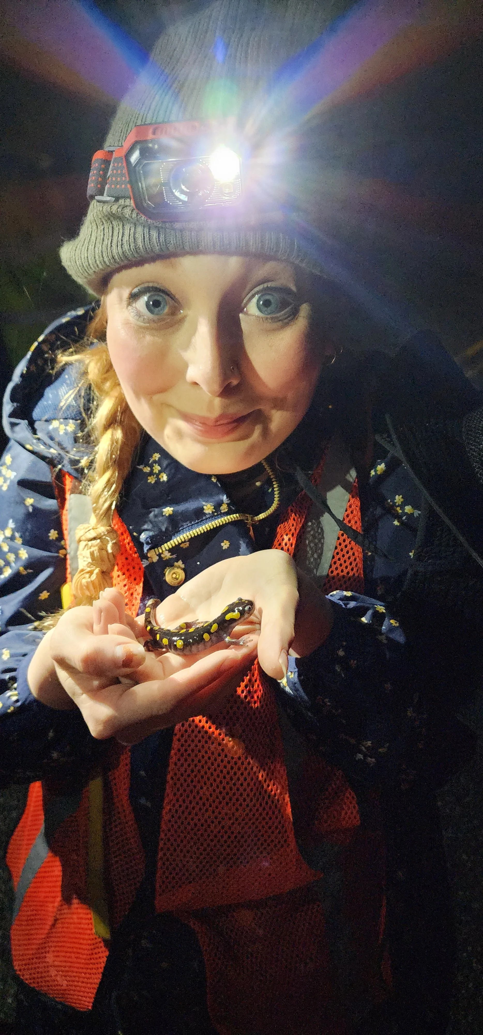A photo of Mandy smiling in a blue botanical-print raincoat, green beanie, and headlamp while cradling a spotted salamander in her hands