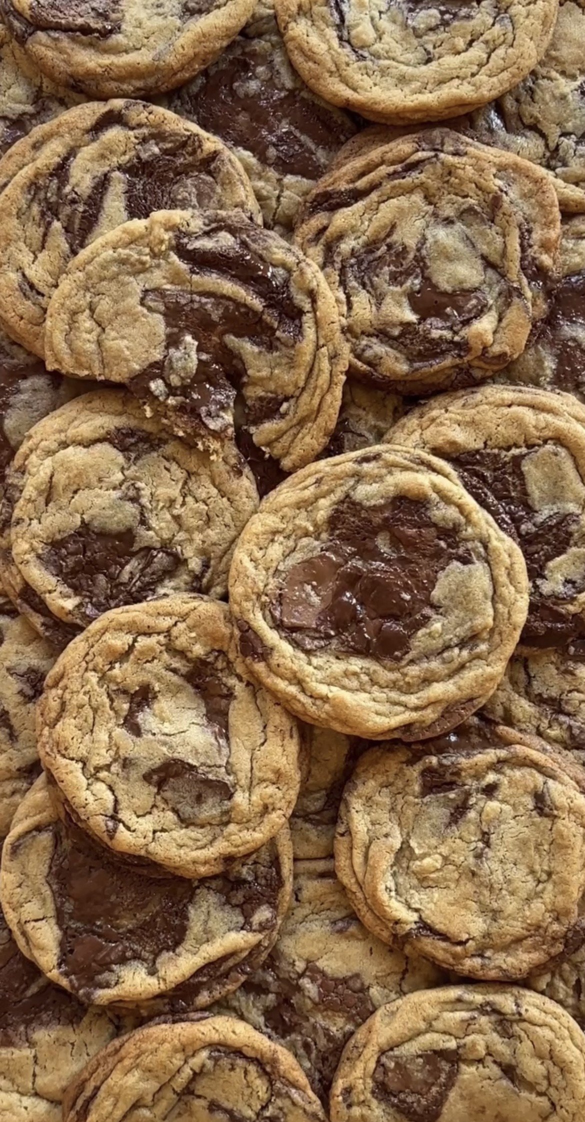 chocchip.jpg