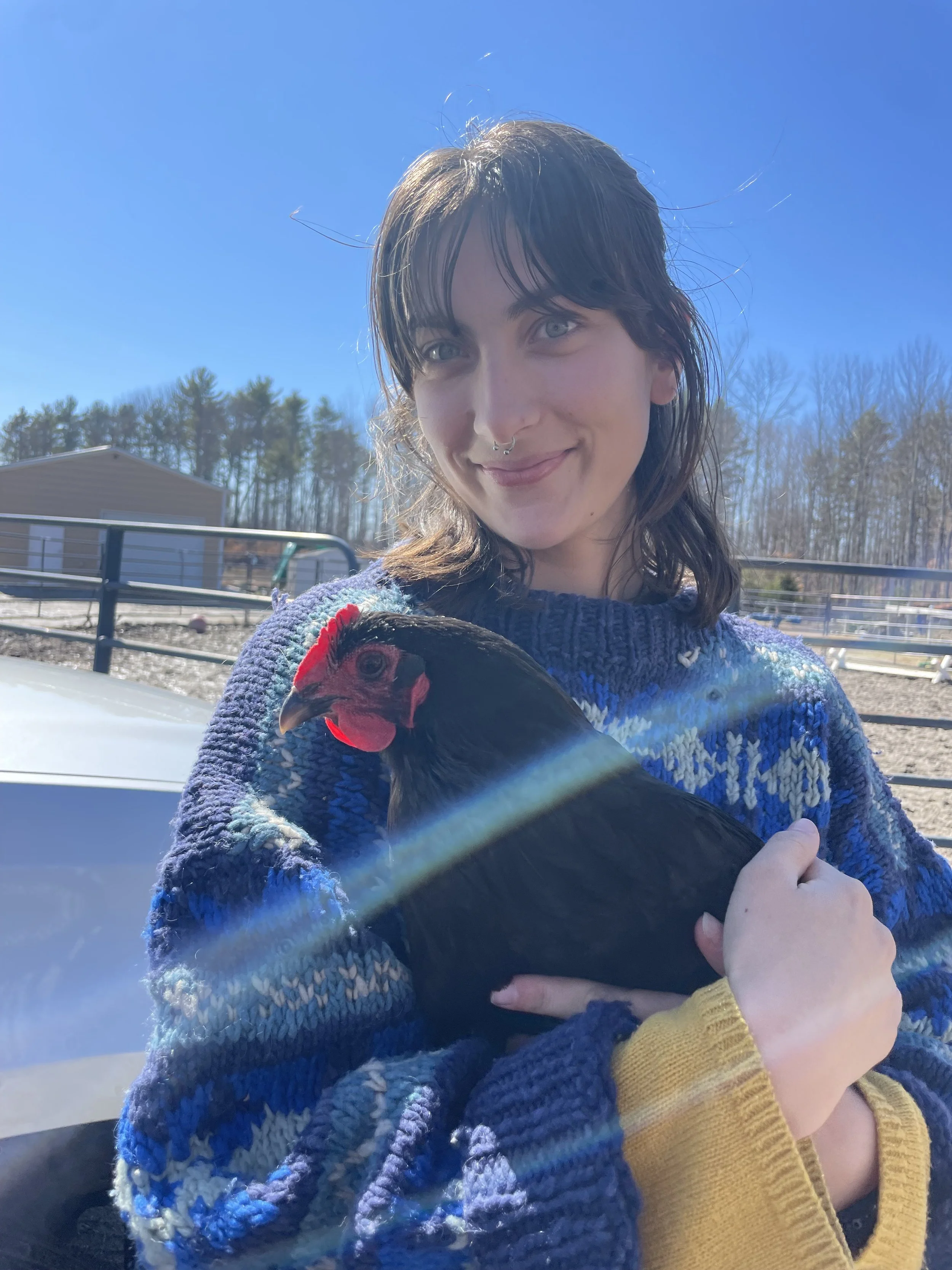 A person in a blue sweater holding a chicken