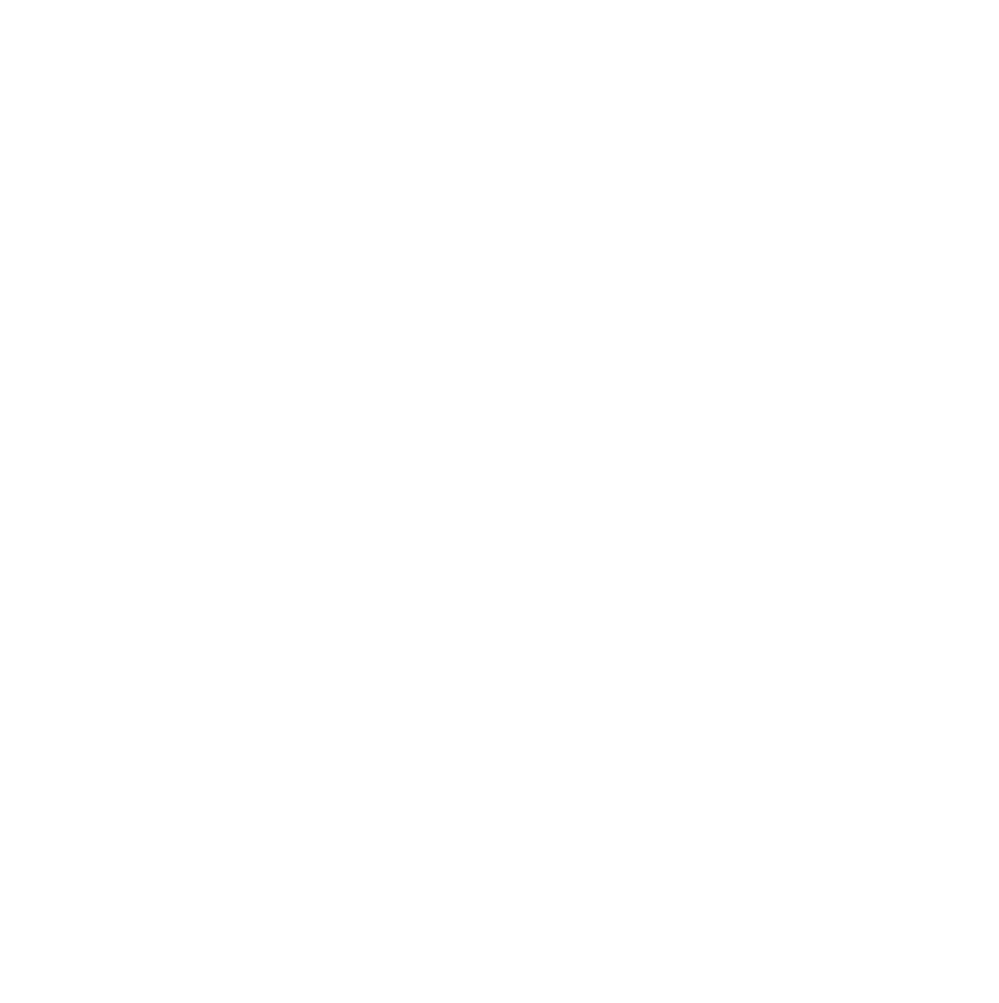 logo-white (3).png