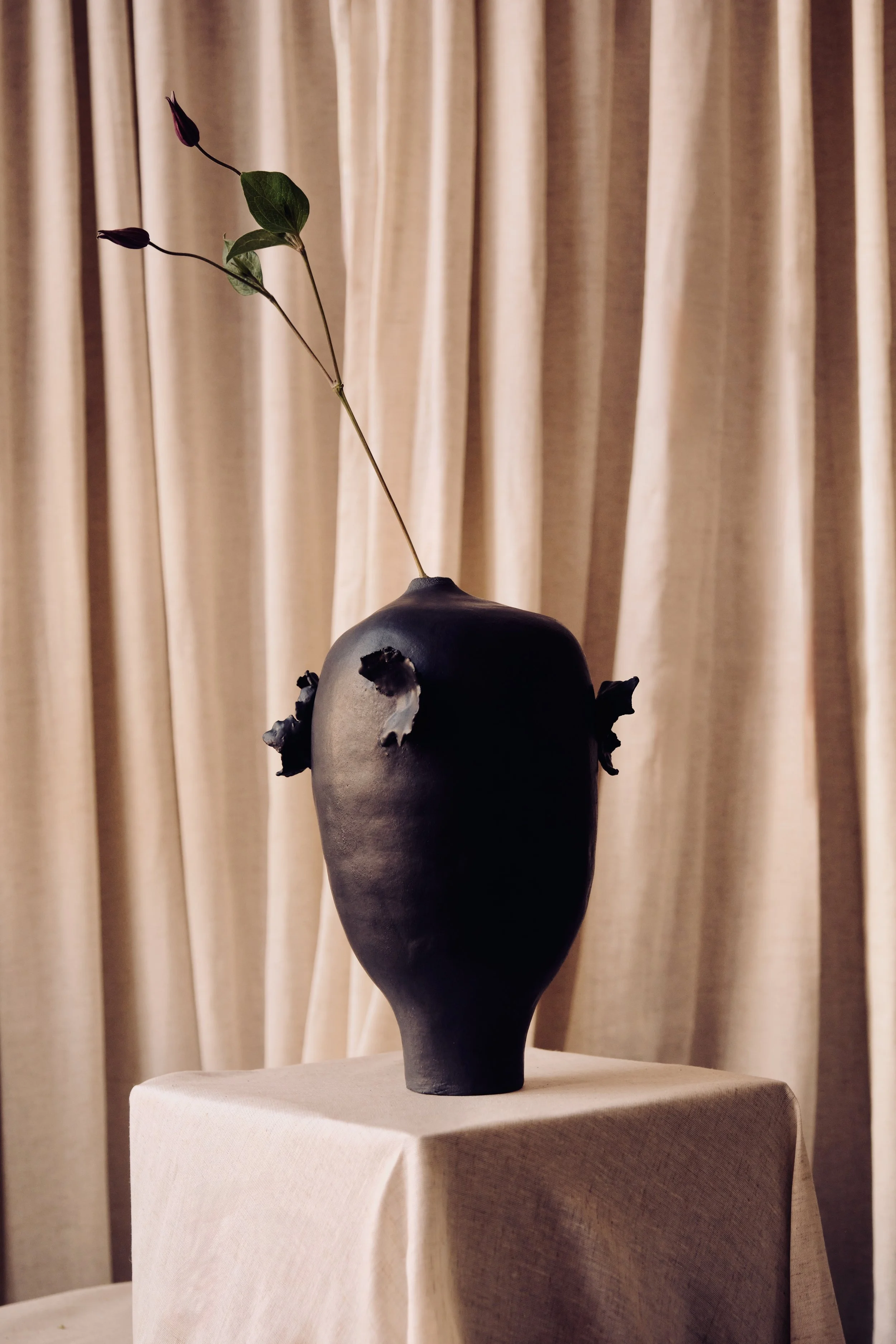 Schwarze Vase mit einem einzelnen Blumenstiel und Blättern, im Hintergrund beige Vorhänge.