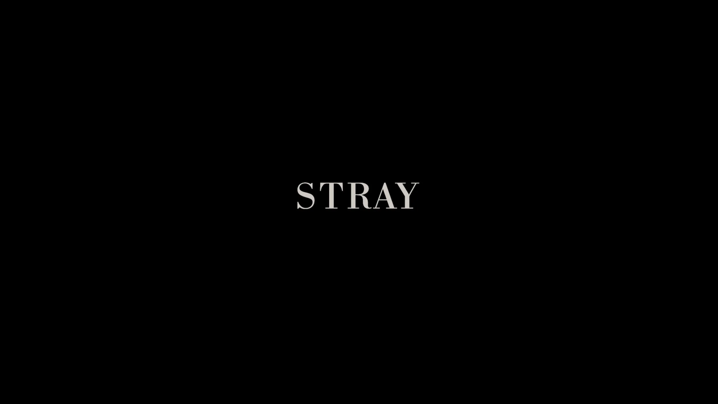 Stray - short film