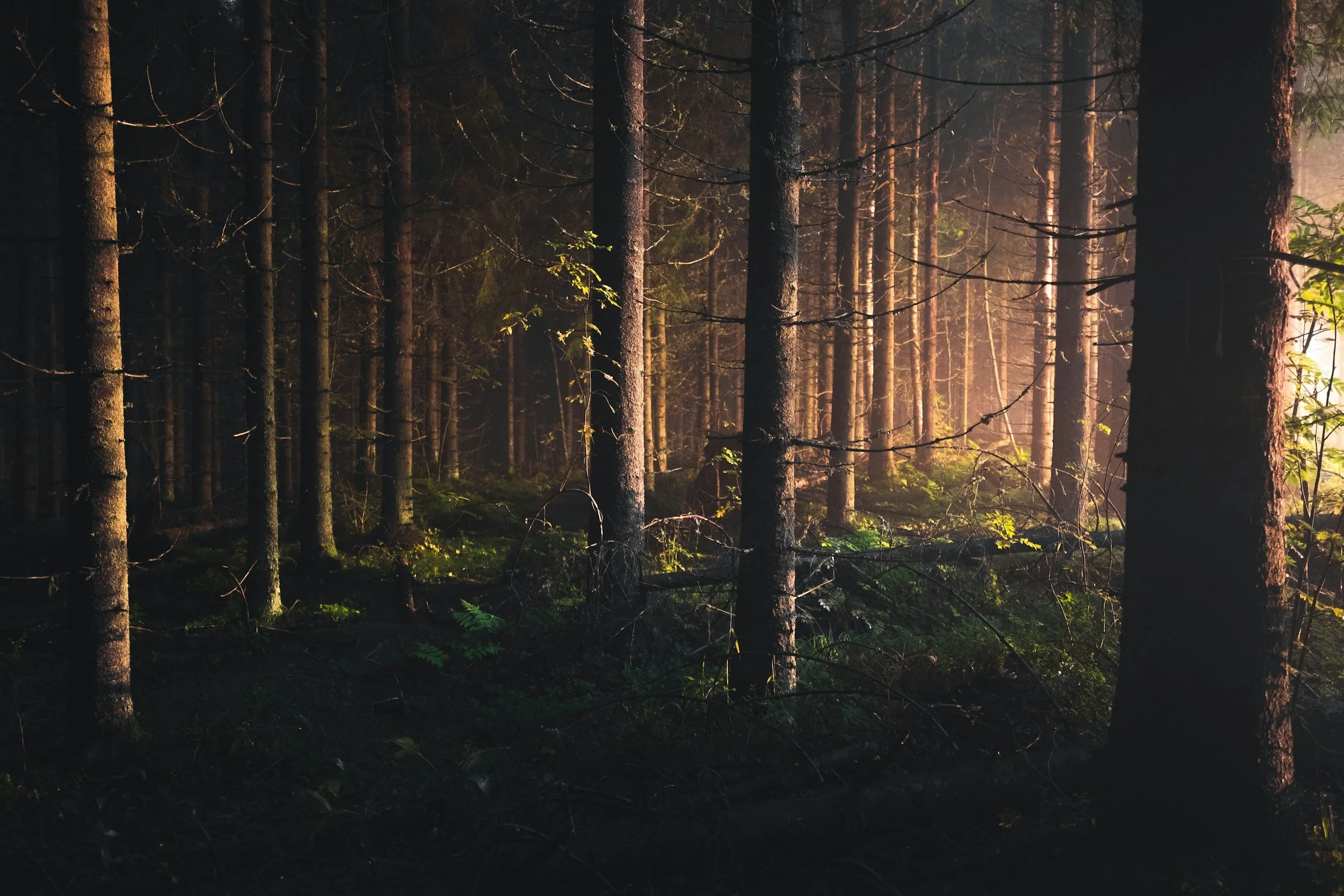 Film: Hamnet