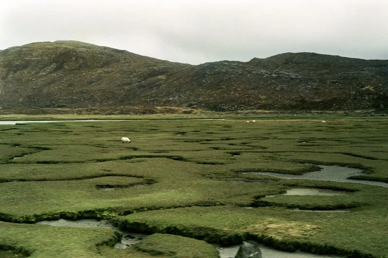 harris4-p-s1-3-5-2-60x40_800.jpg